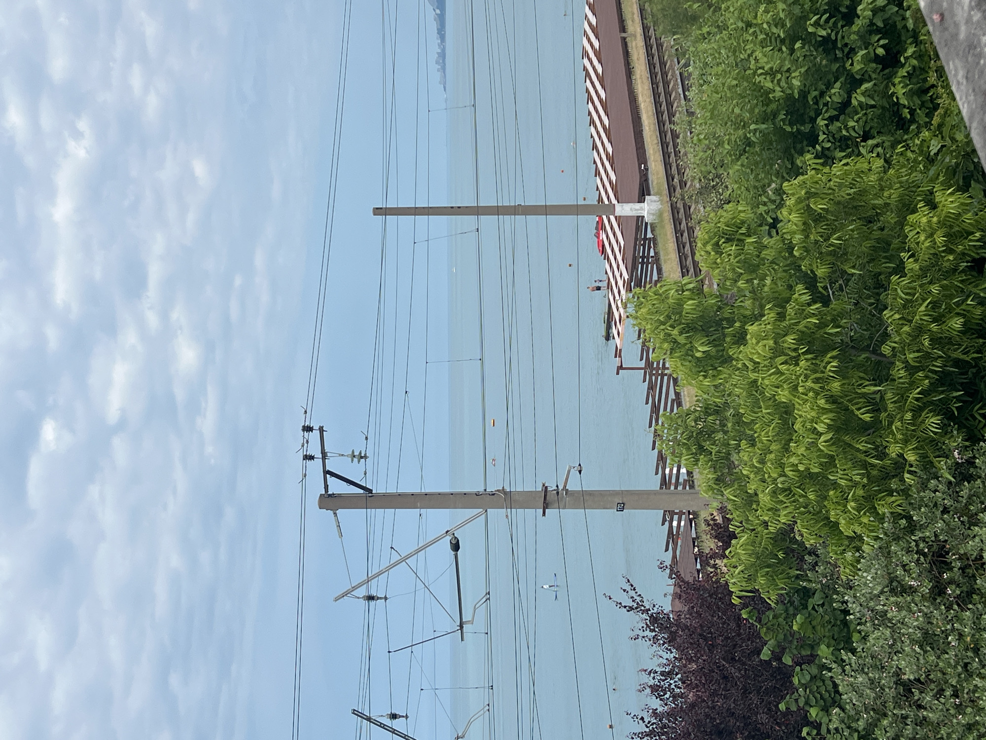 This is a medium-distance shot of a coastline scene, likely in Sochi, Russia, given the presence of overhead power lines typical of railway infrastructure along the Black Sea coast. In the foreground, lush green foliage dominates, with a darker, possibly ornamental, shrubbery to the left. Behind the vegetation, railroad tracks are visible, running parallel to the coast.
Beyond the tracks, a section of a beach or recreational area features rows of white-slatted loungers under a wooden pergola structure. The sea is calm and a pale blue, stretching to the horizon where a faint line of distant buildings suggests a city or town. A few small buoys are scattered on the water, and a person is visible on a paddleboard in the middle distance. The sky is overcast with soft, greyish-blue clouds. Two prominent concrete utility poles with complex overhead wiring are central to the image, indicating a nearby railway line.