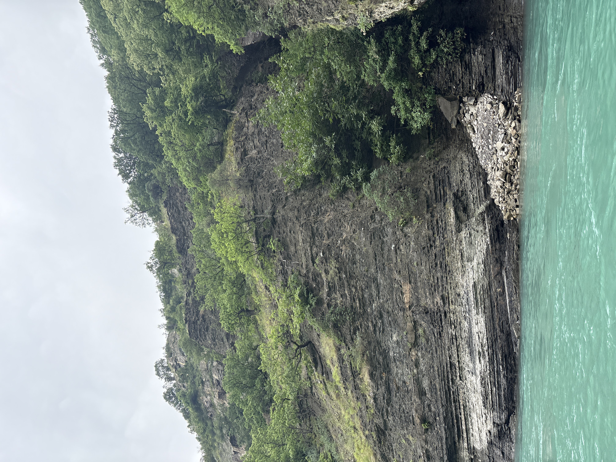The image shows a steep, layered rock cliff face partially covered with green vegetation and trees, rising above a body of bright turquoise water. The rock layers are predominantly dark grey and appear to be sedimentary, with some lighter, possibly eroded sections. Small trees and shrubs grow from crevices and ledges on the cliff. The water is calm and reflects the overcast sky, which is a light grey. The scene appears to be a natural landscape, likely a river or lake bordered by a mountain or canyon. There are no people or specific man-made structures visible. The location is described as Zubutli, Russia, suggesting this is a natural attraction within or near that area.