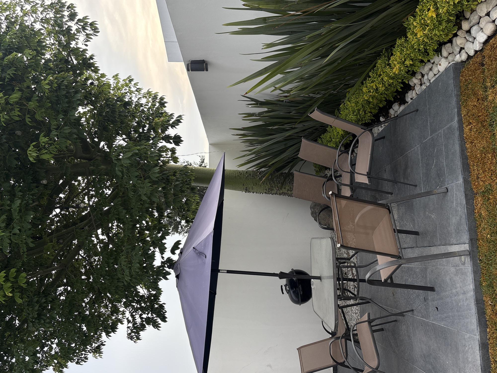 The scene is an outdoor patio in San Bernardino Tlaxcalancingo, Mexico, featuring a square glass-topped table with six chairs. A large black patio umbrella is centered over the table. Lush greenery and a large tree provide shade. The patio is paved with gray tiles, and a white wall is visible in the background. A strip of brown mulch is adjacent to the patio.