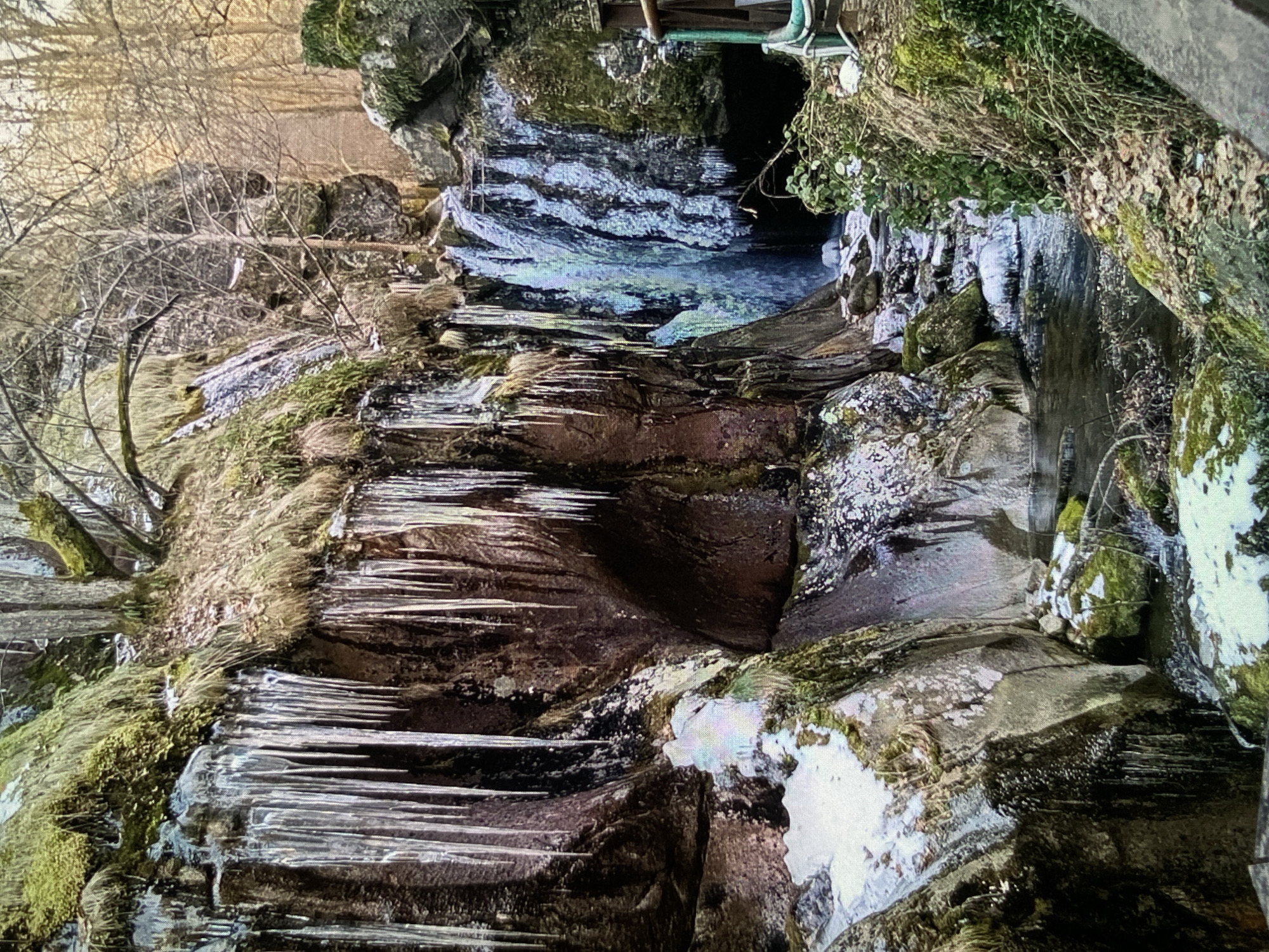 This image depicts a natural winter landscape within a rocky gorge in Bankya, Bulgaria. Numerous long, sharp icicles hang from the dark, rugged rock faces, indicating freezing temperatures. A stream or small river flows through the bottom of the gorge, its surface reflecting the cool, muted colors of the surroundings. Patches of vibrant green moss adhere to the rocks, providing a striking contrast against the ice and the bare, skeletal branches of deciduous trees visible on the slopes above. Further into the gorge, a dark opening suggests a small cave or a shadowed recess. Towards the top right, a wooden structure, possibly part of a bridge or viewing platform, along with some green piping, indicates human infrastructure integrated with the natural environment. The scene is illuminated by natural daylight, suggesting a time between late morning and early afternoon, and evokes a sense of cold tranquility. No people or visible text are present in the image.