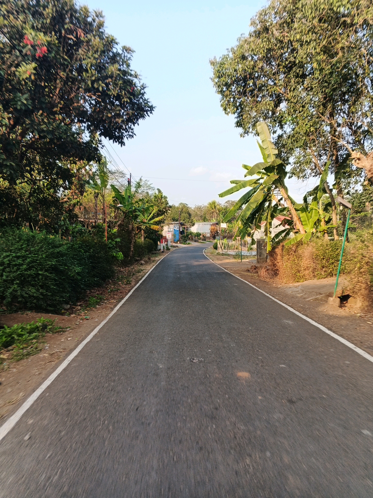 The image shows a rural road in the city of Pesanggrahan, Indonesia. The road is paved and has white lines on the edges. On both sides of the road, there are trees and vegetation. Some houses and buildings are visible in the background. The sky is clear and blue. In the foreground, the road is empty. On the right side of the road, there is a small black bird.