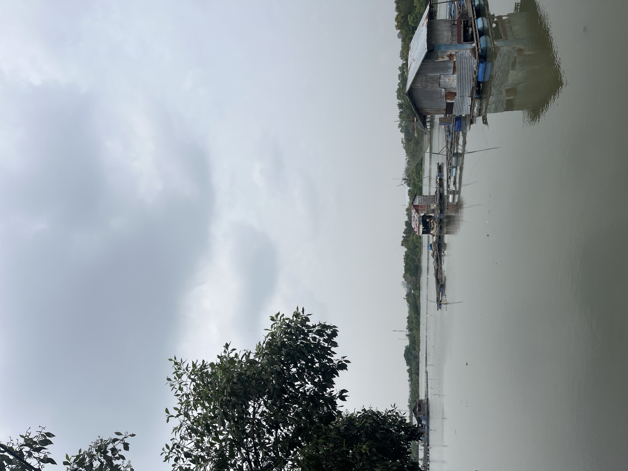 A wide shot captures a tranquil body of water under an overcast sky, with several rustic floating structures dotting the surface. In the foreground, on the left, the dark green foliage of a tree partially obscures the view, its leaves rendered in sharp detail. The water, a muted grey, reflects the cloudy sky and the structures it holds.
Dominating the right side of the frame is a small, weathered hut constructed from corrugated metal and wood, perched atop blue barrels that serve as flotation devices. Its reflection is clearly visible on the water's surface. To the left of this main structure, a smaller, similar hut is visible, also on a raft. Further out in the water, more floating platforms with minimal structures can be observed, some appearing to be aquaculture cages.
The background is a soft blur of lush green trees and vegetation lining the distant shore. A faint vertical structure, possibly a communication tower, is visible on the horizon. The overall atmosphere is one of calm and quietude, with the overcast sky contributing to a subdued, diffused light. This scene is characteristic of the fishing villages and aquaculture farms found in coastal areas of Lhokseumawe, Indonesia, where such floating structures are a common sight.