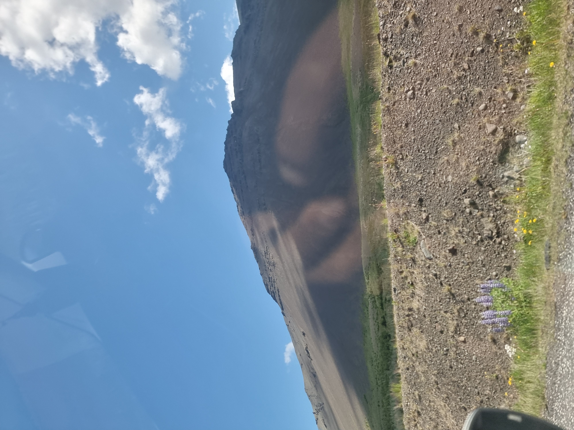 The image depicts a view of a large, dark-colored mountain under a clear blue sky with scattered white clouds. The mountain's slope is partially covered in shadow, creating dramatic patterns. In the foreground, there is a rocky embankment with sparse vegetation, including a cluster of purple lupine flowers and some yellow wildflowers. The scene appears to be a natural landscape, possibly in the vicinity of Reykjavik, Iceland, given the mountain's appearance and the vegetation. There are no people or vehicles clearly visible, although a dark object, possibly a car mirror or window frame, is partially visible in the bottom left corner, suggesting the photo was taken from inside a vehicle.