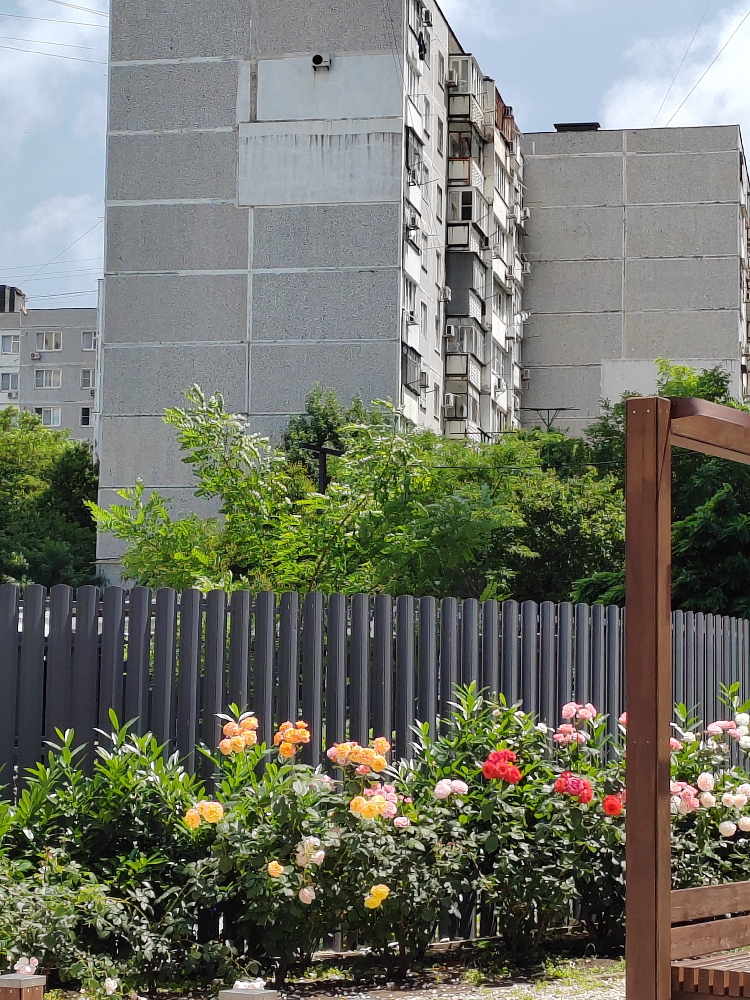 The image depicts a residential area with tall, grey concrete apartment buildings under a cloudy sky. In the foreground, a dark metal fence runs horizontally across the frame, partially obscured by a dense row of rose bushes in bloom. The roses display a variety of colors including yellow, orange, pink, and red. To the right of the frame, a wooden structure, possibly part of a bench or pergola, is visible. The scene appears to be a communal or garden area adjacent to the apartment buildings.