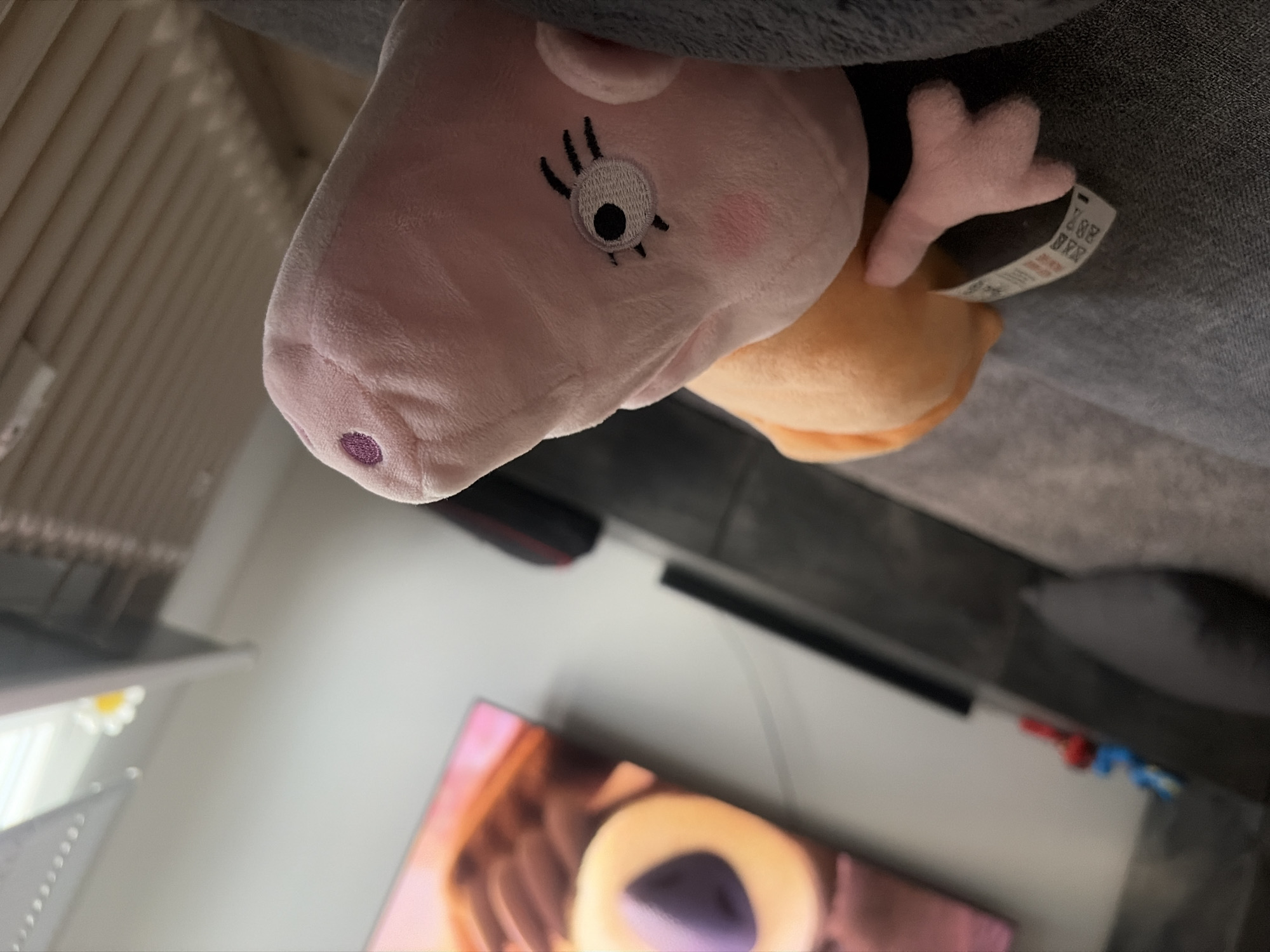 A pink stuffed pig with a purple dot on its snout and embroidered eyes lies on a gray sofa. To its left, an orange stuffed animal with a tag attached is visible. In the background, a television displays an animated image, and a dark entertainment center is situated below it. The scene appears to be in a domestic setting within Duisburg, Germany.
