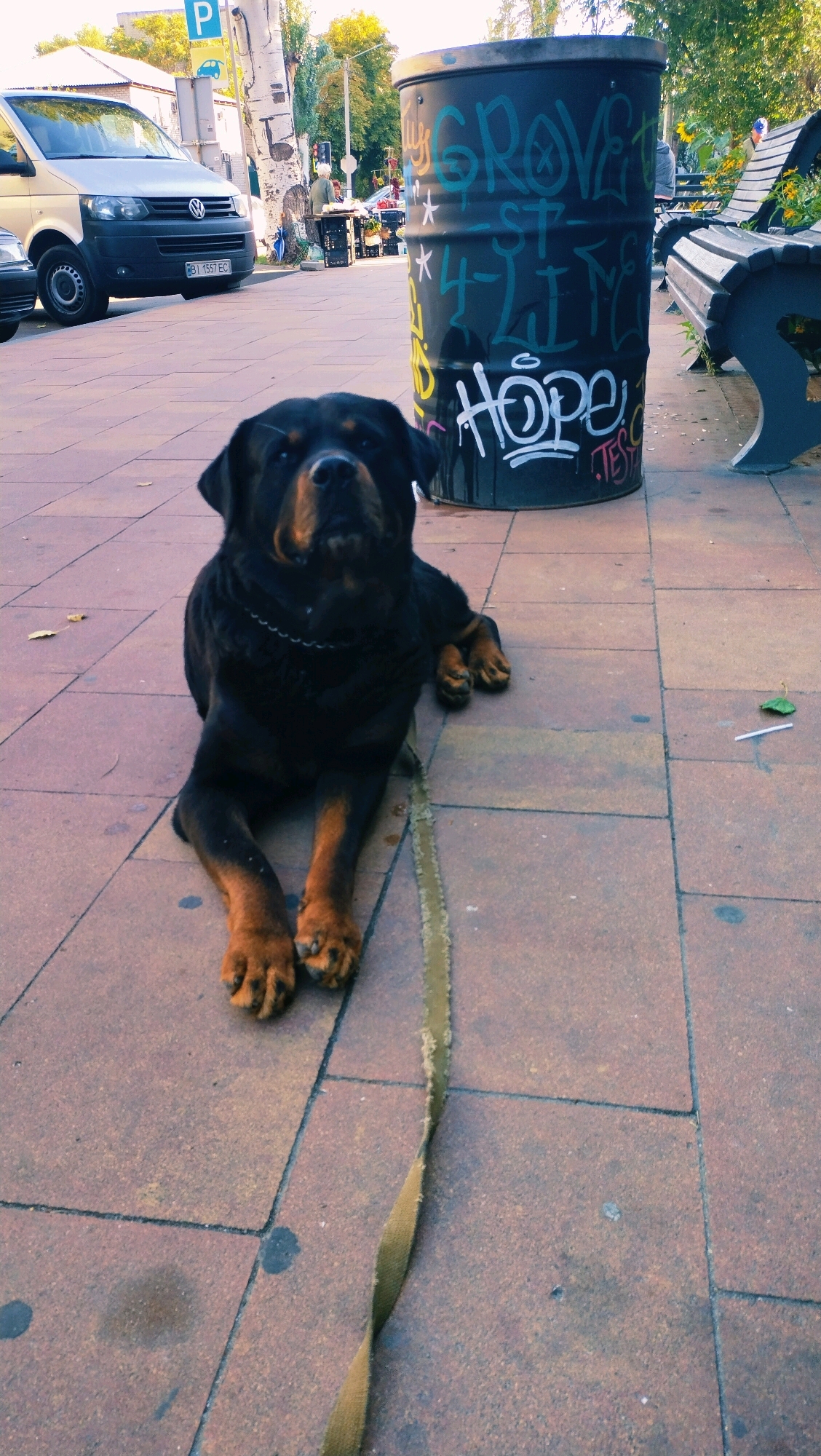 A rottweiler dog lies on a paved sidewalk in front of a large, graffiti-covered cylindrical trash bin. The dog is black with tan markings on its legs and face. Its leash, a tan fabric strap, extends out of frame to the right. The trash bin is black with colorful graffiti spray-painted on its surface. In the background, to the left, a silver Volkswagen van is parked, and further back, trees and buildings suggest an urban environment. A bench, also covered in graffiti, is visible to the right of the trash bin. The scene appears to be an outdoor public space, likely in the city of Horishni Plavni, Ukraine, given the context provided.
