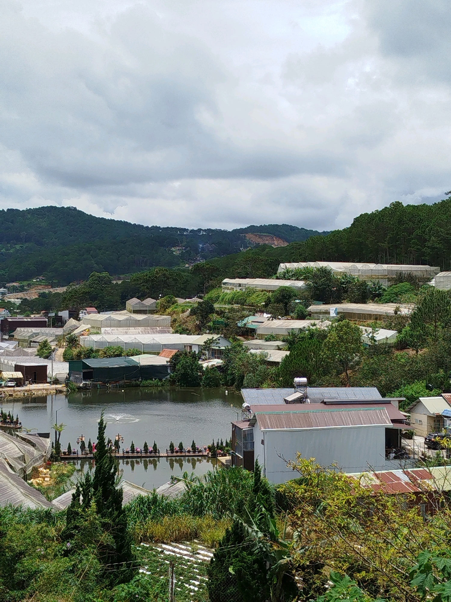 This is an outdoor, elevated, wide shot of a village in Da Lat, Vietnam, under a cloudy sky. The village is built into the side of a lush green mountain, with numerous greenhouses and houses scattered across the slopes. A calm body of water, possibly a lake or a large pond, is visible in the foreground. A long, narrow bridge or walkway with railings and decorative potted plants spans across a portion of the water. A fountain or water feature is active in the water. Several houses, some with tin roofs and solar panels, are clustered together. Tall, conical evergreen trees are interspersed throughout the landscape. The overall impression is one of a rural, agricultural community nestled within a mountainous, verdant environment.