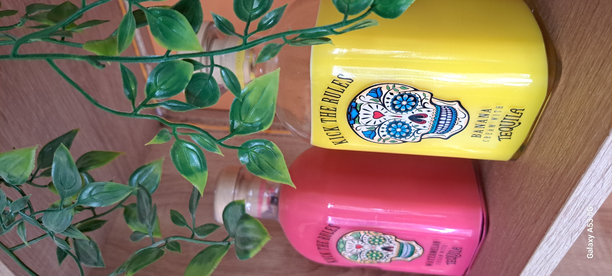 This is a close-up, eye-level, indoor shot of two bottles of flavored tequila cream liqueur on a wooden shelf. The bottles are positioned side-by-side and are partially obscured by artificial green leaves that hang from above.
The bottle on the left is a vibrant pink and contains a pink liquid. Its label features a colorful skull design with the text "KICK THE RULES" above it and "WATERMELON CREAM WITH TEQUILA" below.
The bottle on the right is a bright yellow and contains a yellow liquid. Its label also has the "KICK THE RULES" text above a similar colorful skull design, with the text "BANANA CREAM WITH TEQUILA" below.
The background consists of a wooden surface, likely a shelf, with a light wood grain pattern. The overall lighting suggests an indoor setting. The bottom left corner of the image shows a "Galaxy A53 5G" watermark. There are no people or animals visible in the image. The scene is static and focuses solely on the product presentation. There is no indication or context suggesting this scene is located in the city of Kos, Greece.