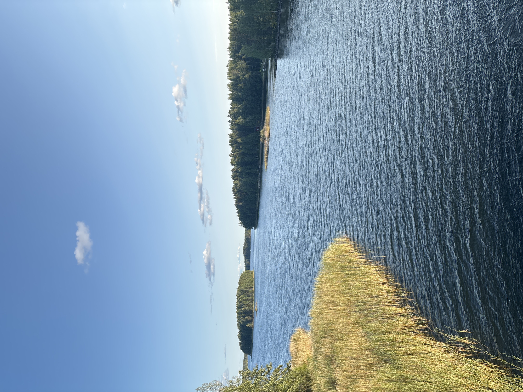 This image depicts a serene natural landscape at the edge of a body of water, likely a lake or bay, in Savonlinna, Finland. The scene is dominated by the tranquil blue water, which is gently rippled, suggesting a calm day. On the left side of the frame, tall, golden-yellow reeds line the bank, their dry stalks creating a textured foreground that contrasts with the smooth water.
Beyond the reeds, a lush green forest covers the islands and shoreline. The trees are dense, with a variety of greens indicating a mix of deciduous and coniferous species. The forest extends into the distance, creating a sense of depth and surrounding the water. Several small islands, also covered in trees, dot the body of water. In the far distance, the shoreline is more defined by the continuous line of trees.
The sky above is a clear, bright blue, with a few scattered, wispy white clouds that are illuminated by sunlight. The light suggests it is either morning or late afternoon, casting a soft glow over the scene. There are no people or animals visible in the image, emphasizing the peaceful and natural aspect of the location. The overall impression is one of natural beauty and tranquility, characteristic of the Finnish Lakeland region.