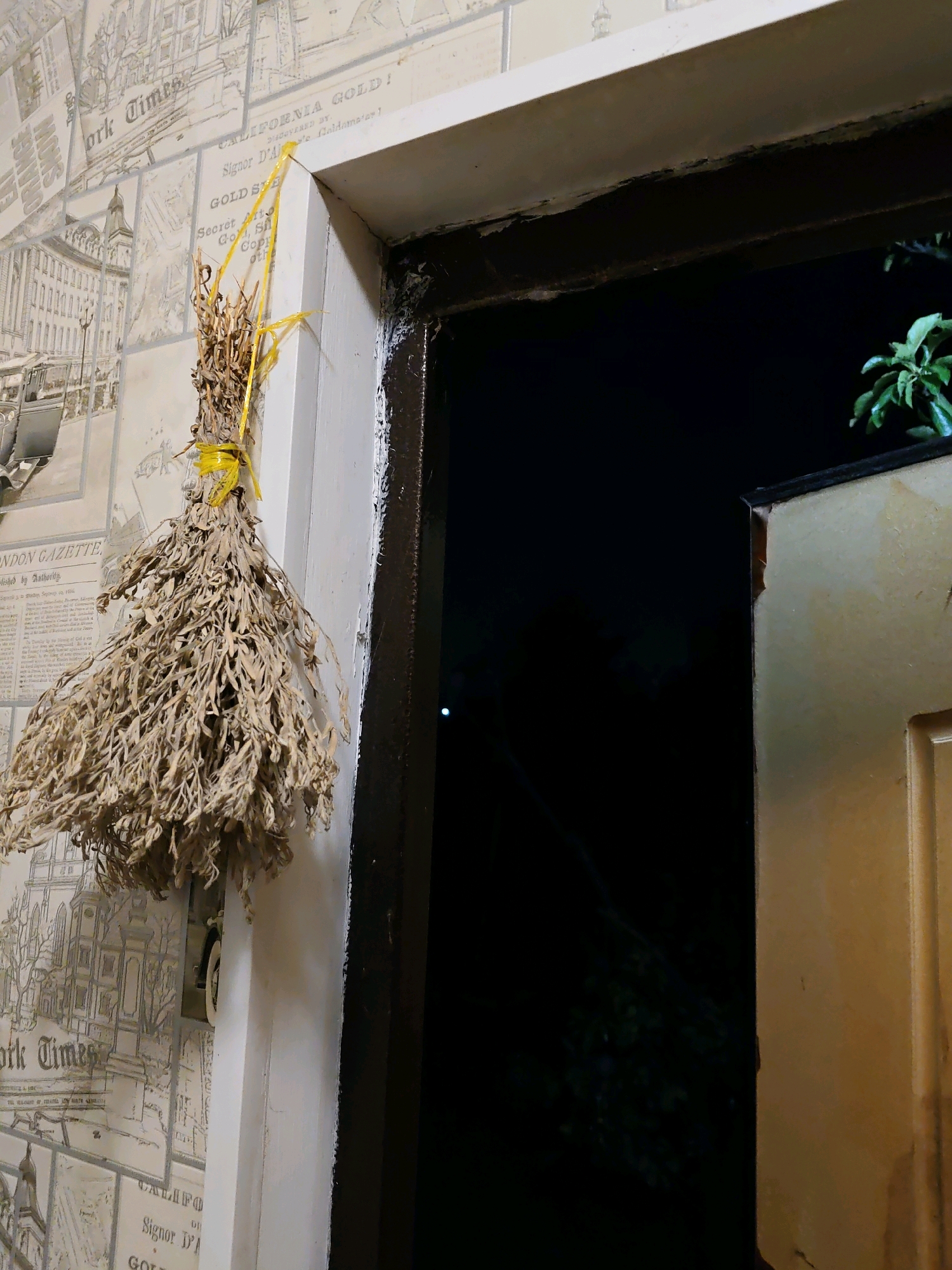 The image shows a dried bundle of herbs hanging by yellow twine from a white door frame. The wall to the left of the door is covered in wallpaper that appears to be reproductions of old newspaper clippings, with visible text such as "New York Times" and "CALIFORNIA GOLD!". A dark doorway opens to the right, revealing a black void with some faint light reflections and green foliage visible in the upper right corner. The door jamb itself shows signs of wear and tear, with paint peeling in places. The image is a close-up shot, focusing on the doorway and the hanging herbs. The location is not specified as Rostov-on-Don, Russia.