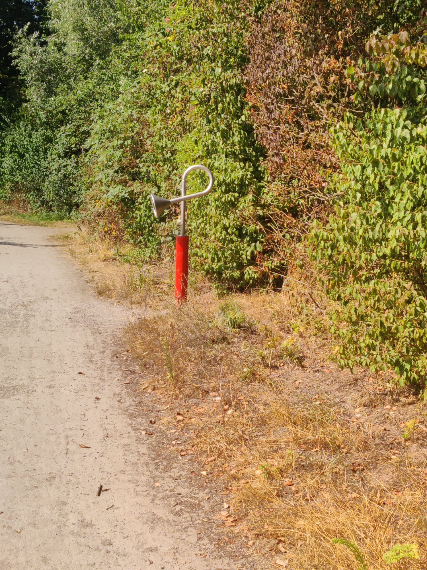 A red post with a silver metal horn-shaped object on top stands on the edge of a dirt path. The post is situated next to a dense wall of green and brown foliage. The path is mostly bare, with some dry grass and leaves scattered along the edges. The scene is illuminated by bright sunlight, casting shadows on the ground. The setting appears to be a natural or park-like area.