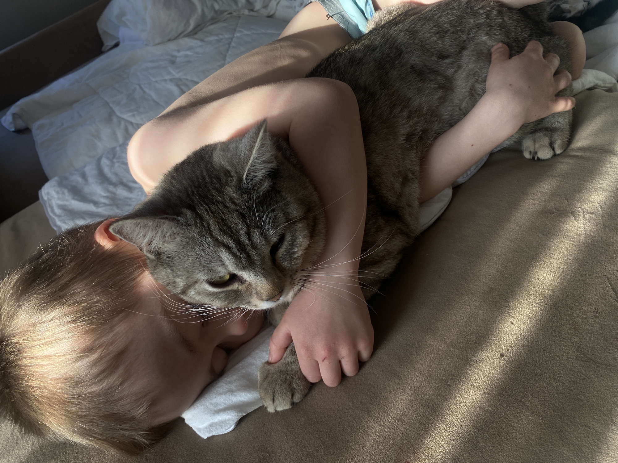 A young child with light blond hair lies on a brown couch, embracing a gray tabby cat. The child's head is resting against the cat's side. The cat is lying comfortably, with the child's arms wrapped around its body. A white cloth is visible underneath the cat and child. A bed with white bedding is visible in the background. The location of the image is not discernible from visual data.