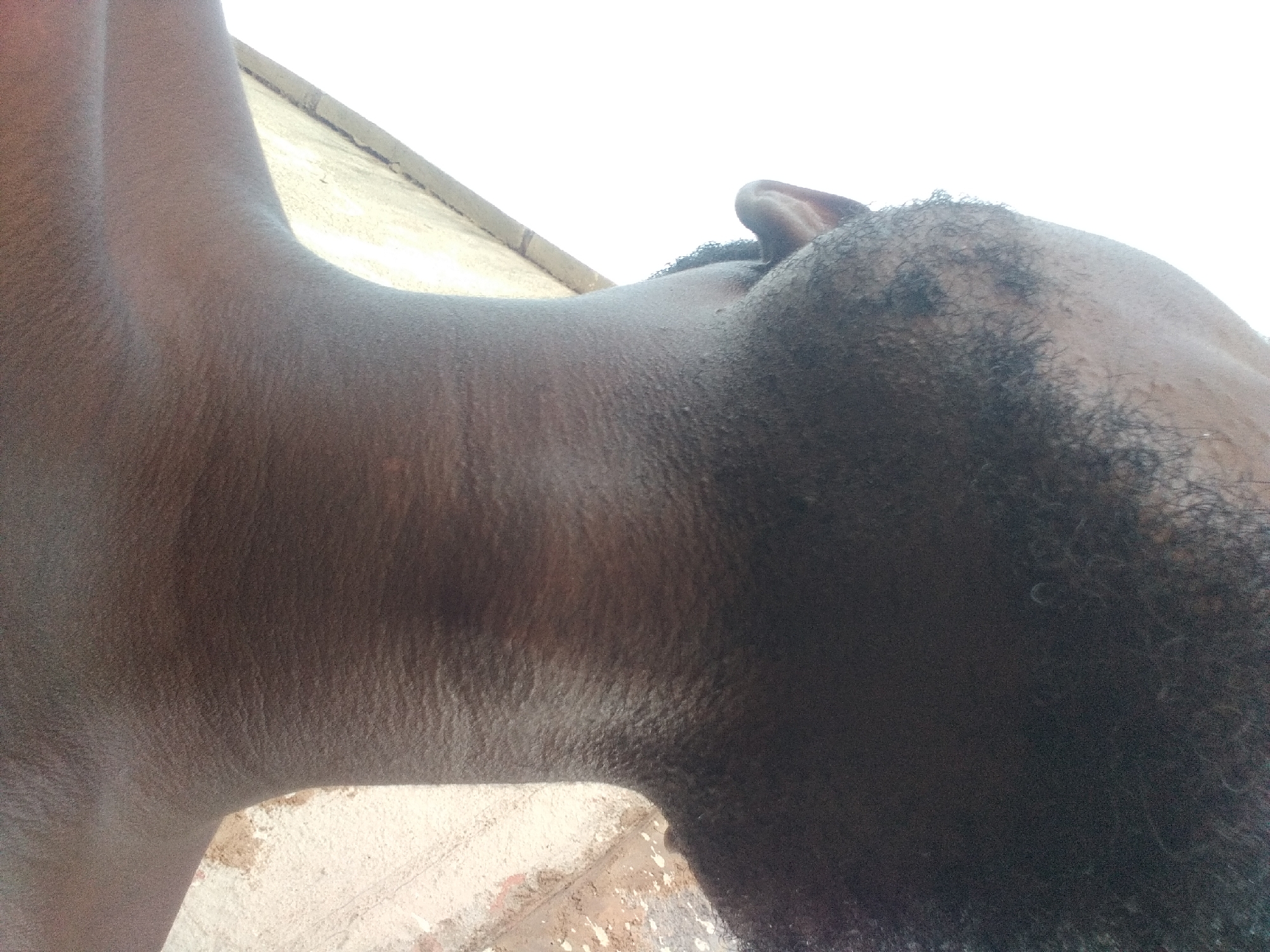 The image is a close-up, low-angle shot of the neck and lower jaw of a Black person. The skin on the neck is dark and shows visible texture with lines and creases. There is facial hair on the jawline and under the chin, appearing thick and curly. The person's ear is partially visible on the left side of the frame. The background consists of a bright, blown-out sky and a textured wall, possibly made of concrete or stucco, with some dirt or discoloration. The lighting suggests an outdoor environment, likely Jalingo, Nigeria, given the context. The image is focused on the anatomical details of the neck and jaw, with no other discernible objects or actions.