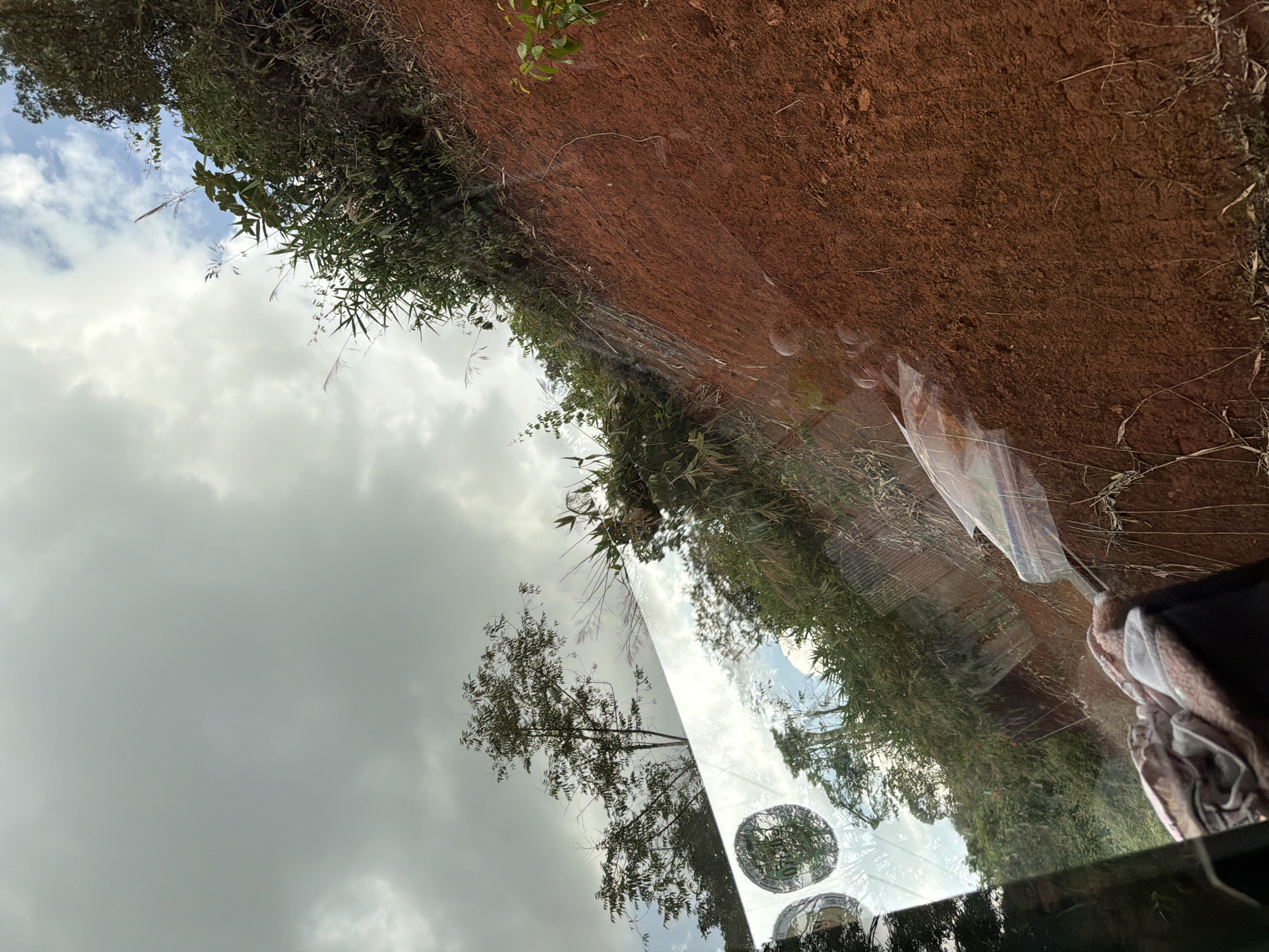 The image, taken from inside a vehicle looking out a window, captures a rural landscape under an overcast sky. The photo is rotated 90 degrees clockwise. When viewed upright, the upper left quadrant of the frame is dominated by a cloudy, gray sky. Below and to the left, lush green vegetation, including trees, bushes, and tall grasses, forms a natural boundary. A prominent feature on the right side of the frame is a reddish-brown expanse of dirt or soil, suggestive of a rural road, pathway, or an exposed earth bank.
The vehicle's window reflects a significant portion of the scene. A large tree with lighter green foliage is clearly visible in the reflection, positioned as if it were in front of or opposite the vehicle. Within the reflections, two distinct circular shapes appear; one contains what seems to be numbers or text, possibly "80" or "08", which could be a reflection of a speedometer, a road sign, or a dashboard element. Water droplets and minor smudges are scattered across the windowpane. In the bottom right corner of the original image (or the far right when viewed upright), parts of the car's interior are visible, including a dark surface, a crumpled light-colored cloth or towel, and a transparent plastic bag containing unidentifiable items. The scene portrays a journey through a natural setting, possibly in Măng Đen, Vietnam, given the characteristic red soil. The time of day appears to be daytime, with an overcast sky. No discernible emotions are conveyed.
