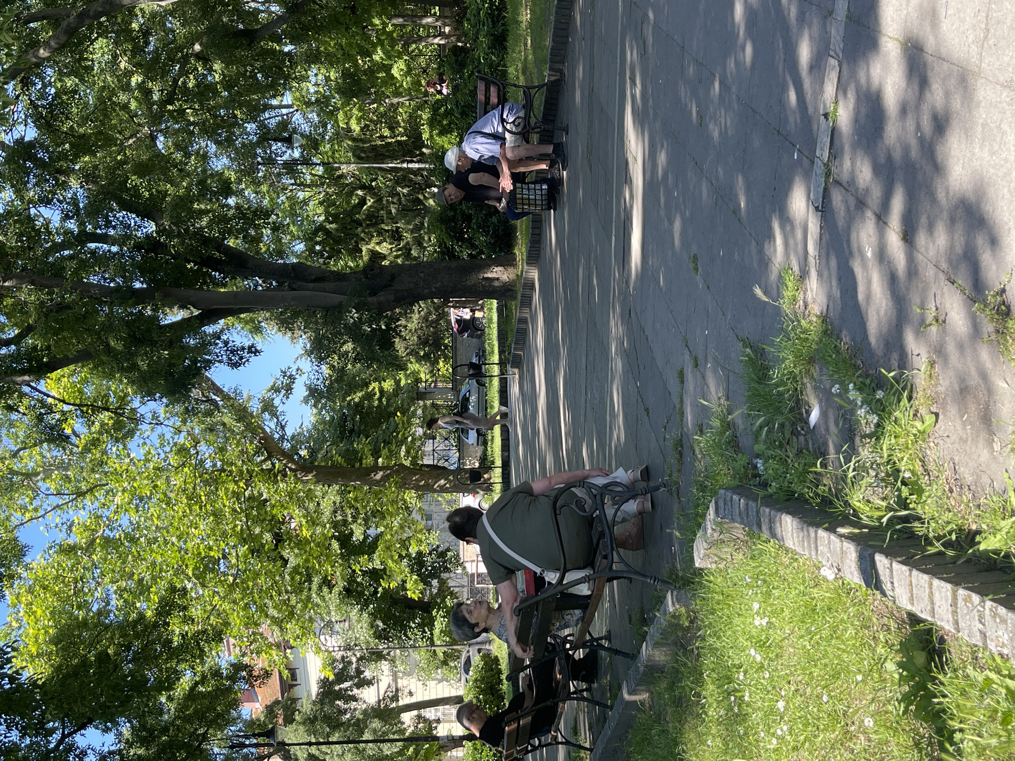 A bright, sunlit park scene in Varna, Bulgaria, features several individuals seated on park benches amidst lush green trees and foliage. In the foreground, a paved pathway with scattered patches of grass and small white flowers runs along a low, stone border. To the left, a man in a dark shirt is seated on a bench. To his right, two women are engaged in conversation on another bench, one wearing a green top and a white strap across her shoulder. Further to the right, two older men, one in a blue shirt and white cap, and the other in a dark shirt and dark cap, are seated on a bench, appearing to talk. In the background, a woman in a light-colored dress walks away from the camera, and several cars are visible on a street beyond the park's trees. The overall atmosphere is one of a peaceful, casual gathering in a public green space on a clear day.