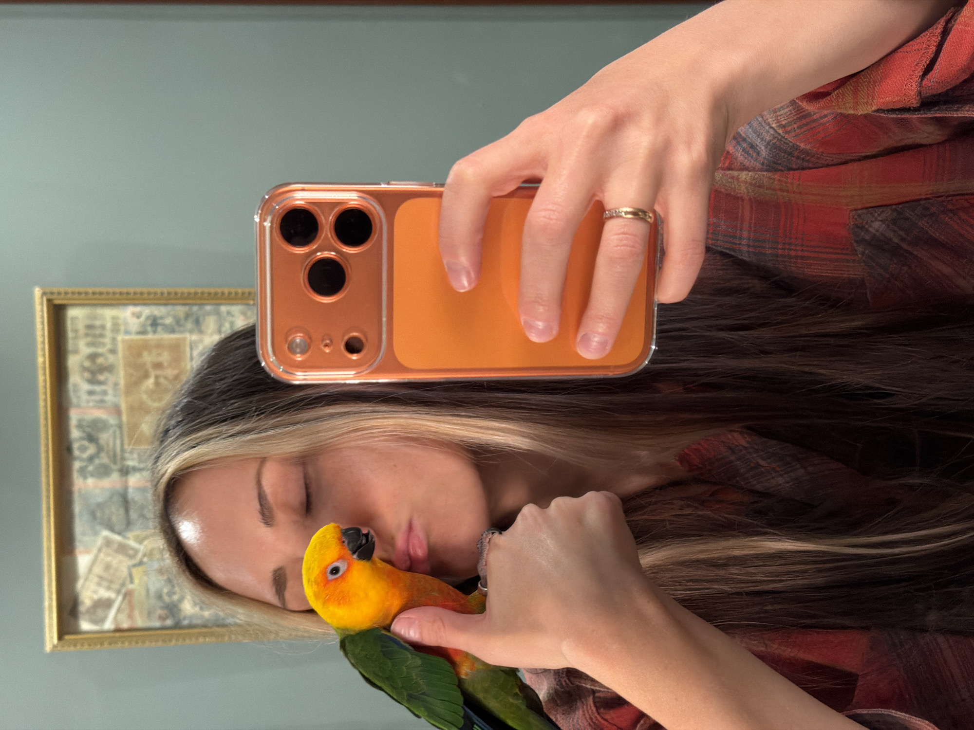 A woman is captured in a mirror selfie, holding a bright yellow, orange, and green parrot affectionately against her face. Her eyes are closed, and her lips are slightly parted, suggesting she is kissing or nuzzling the bird. She has long, dark brown hair with blonde highlights, flowing around her head and shoulders. She is wearing a red and black plaid shirt.
Her right hand, adorned with a gold ring featuring small stones on her ring finger, is holding a smartphone with an orange back and a clear case. The phone's three prominent camera lenses are visible. The selfie appears to be taken indoors.
In the background, behind the woman's head, there's a section of a framed piece of artwork or an old map in a gold frame. The wall behind is a solid, muted blue-green color. The overall scene conveys a moment of tender connection and peace between the woman and her pet parrot within a domestic setting. There is no discernible text in the image.