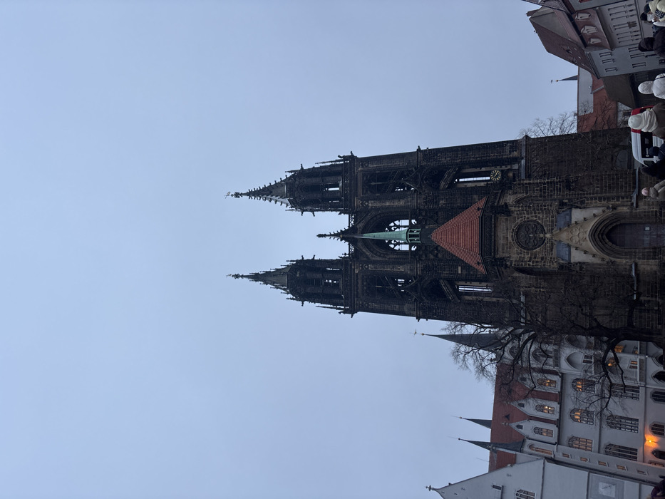 An imposing, dark-stone gothic cathedral towers against a pale sky. Its two main spires are intricately detailed and appear to be very old. A smaller, green spire rises between them. Architectural details and arched windows are visible on the building's facade. Lower buildings with red-tiled roofs are also captured within the frame.