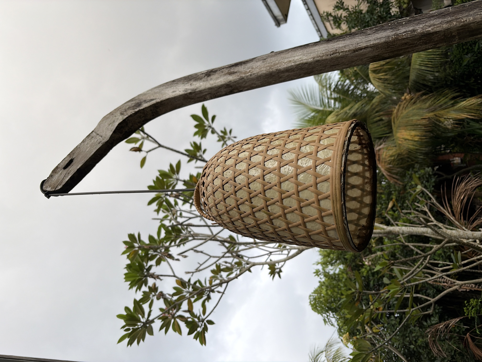 A close-up, eye-level shot captures a woven bamboo lantern hanging from a wooden post in what appears to be an outdoor setting, possibly a garden or courtyard, in Ubud District, Indonesia. The lantern, with a conical shape, is intricately woven with a diamond pattern of light brown bamboo strips over a translucent material, likely glass or plastic. Its top is capped with a darker woven rim, and a thin wire suspends it from a curved, weathered wooden beam.
The background is filled with lush greenery under an overcast sky. To the left, a tree with broad, green leaves and delicate pink blossoms stands out. Beyond that, a dense canopy of various trees and palm fronds creates a rich, textured backdrop. A section of a building with light-colored walls and a dark roof is visible on the far right. The overall atmosphere is tranquil, suggesting a moment captured during a cloudy day in a tropical environment. No people are present in the image.