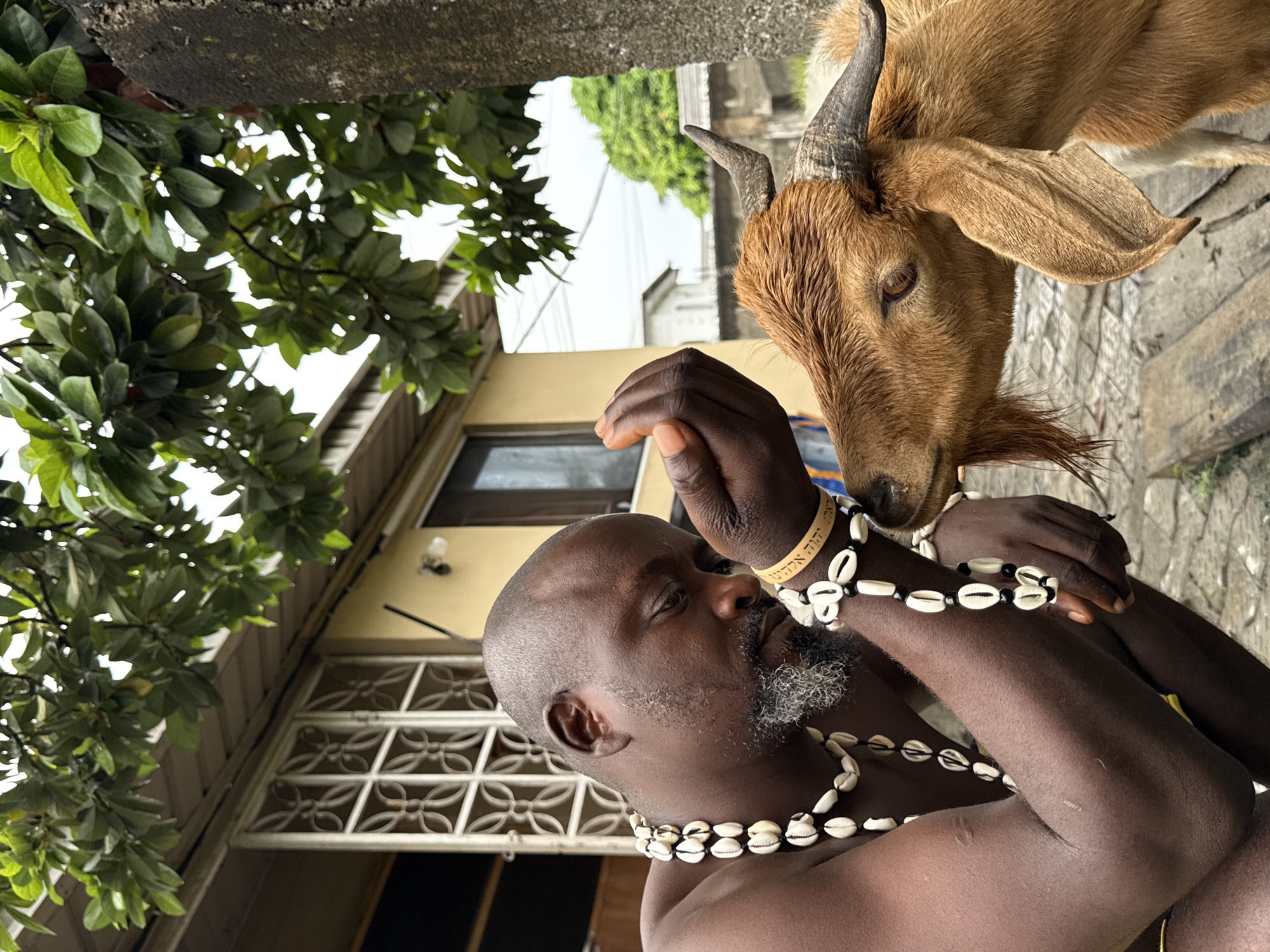 A bald, dark-skinned man with a gray beard is interacting with a brown goat. He is wearing a necklace of cowrie shells and bracelets. One bracelet has gold lettering on it. The goat is light brown with small horns. The scene is outdoors, near a building with a patterned window and green foliage. The location is Ado, Nigeria.