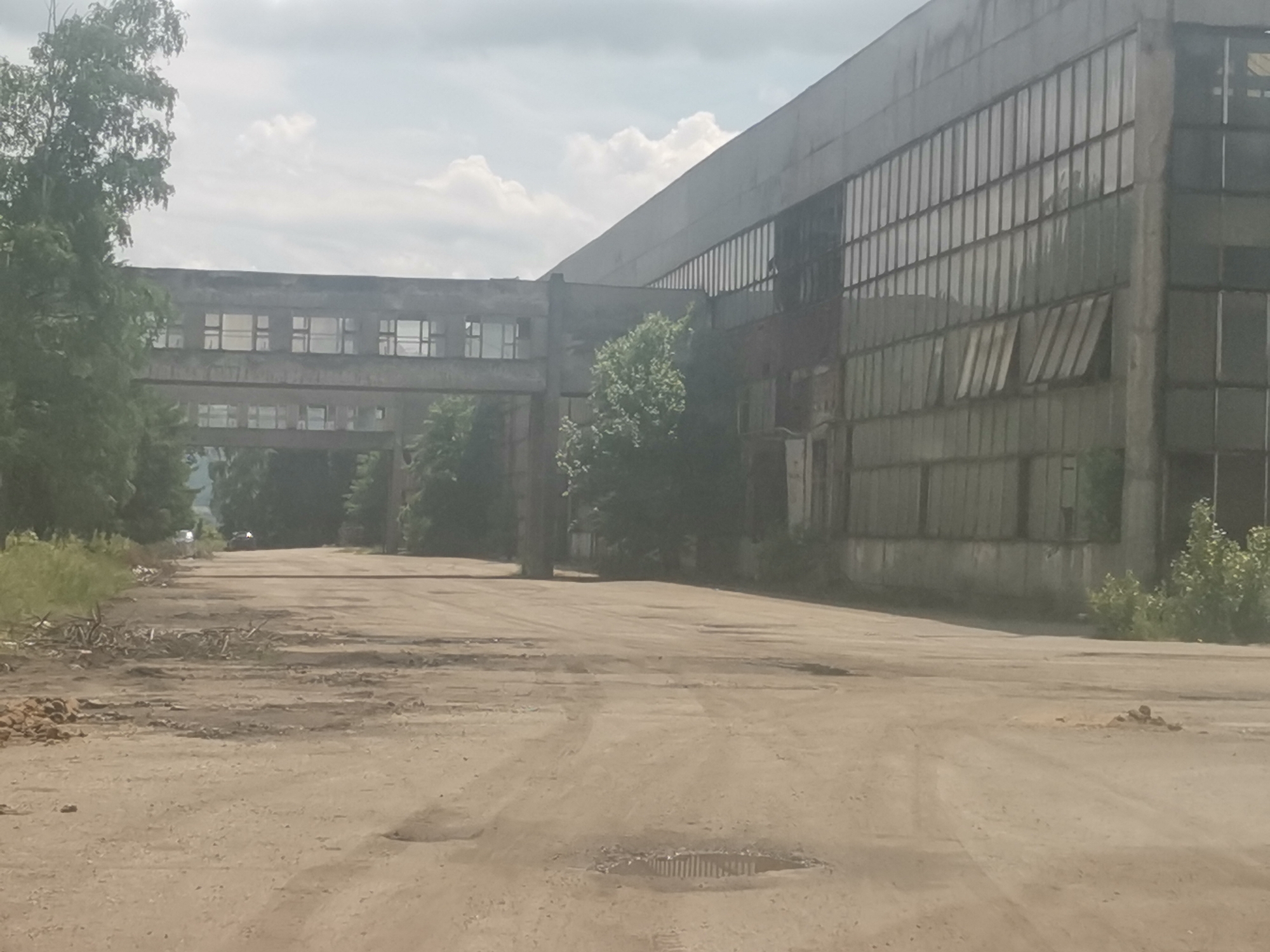 The image captures an abandoned or disused industrial area in Verinsko, Bulgaria, characterized by large, utilitarian concrete buildings under an overcast sky. The foreground features a rough, unpaved dirt and gravel road with visible tire tracks, potholes, and a metal drain cover. Piles of debris and scattered rubble are present on the left side of the road and near the center. Sparse, dry grass and small shrubs grow alongside the road.
To the left, a mature tree with dense green foliage stands beside a concrete building structure. This building connects to a larger, more imposing industrial facility via an elevated concrete walkway or bridge, featuring rows of rectangular windows, many of which appear empty or broken. More trees and greenery are visible beyond this connecting structure, partially obscuring the distant background.
The dominant feature on the right is a massive, multi-story industrial building constructed from concrete. Its facade is extensively covered with large, gridded window panels, some of which are open at an angle, suggesting ventilation or disrepair. The building's architecture is typical of mid-20th century industrial complexes, with a long, linear design and a slightly sloped roofline. The overall scene conveys a sense of dilapidation, neglect, and the aftermath of industrial activity. No people or overt activities are visible, emphasizing the feeling of abandonment. The lighting suggests it is daytime, possibly late morning or early afternoon, with diffused light due to the cloudy conditions. No text is visible in the image.
