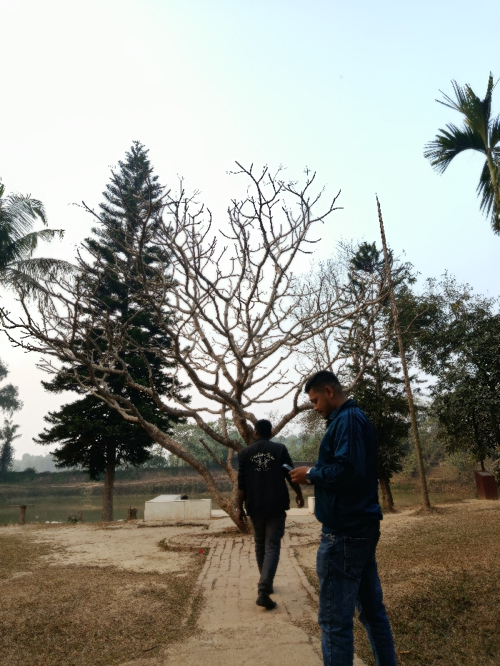 Memory