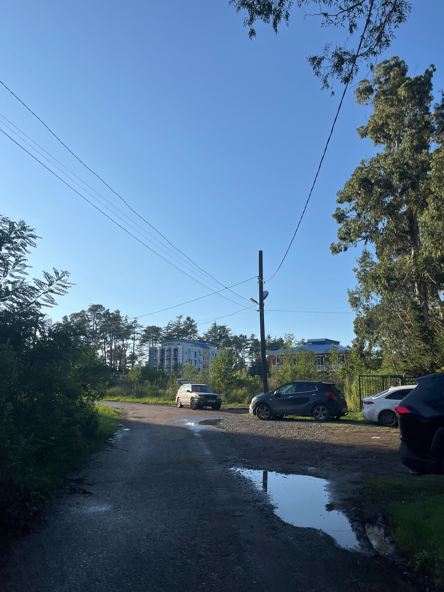 A dirt road with puddles reflects the clear blue sky, leading towards a line of trees and buildings in Ureki, Georgia. A utility pole with a light fixture stands on the left side of the road. Several cars are parked along the side of the road, including a white SUV with its trunk open, a dark gray hatchback, a white sedan, and a black SUV. Green foliage and tall trees line the sides of the road, with a few modern buildings visible in the distance behind the trees. The sun is casting long shadows, indicating it is either early morning or late afternoon.