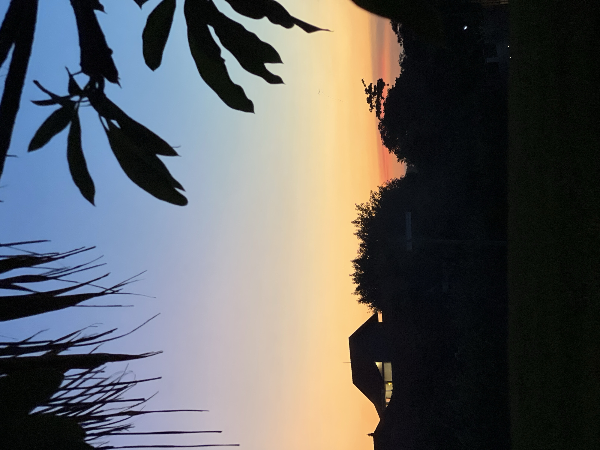 The image depicts a sunset scene framed by foliage. In the foreground, the silhouettes of leaves from two different plants are visible on the left side of the image. The sky transitions from blue at the top to orange at the bottom, indicating the sunset. The silhouette of trees and a building are visible on the right, the building appears to have a lit window. The right side of the image is dark, suggesting dense foliage or an adjacent structure obstructing light. The image captures a dusk or early evening scene, likely taken in a garden or outdoor space near the city of North Kuta, Indonesia.
