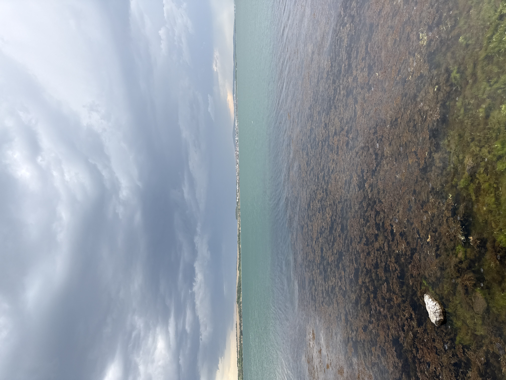 The image depicts a seaside view in Burgas, Bulgaria. The right side shows shallow water with dark, dense seaweed and algae, with a single, light-colored rock visible at the bottom. Transitioning leftward, the water deepens and becomes a lighter teal color. The shoreline is visible in the distance, featuring a thin strip of land with some buildings, suggesting an urban area. The sky above is predominantly gray and cloudy, with hints of sunlight breaking through on the far left.