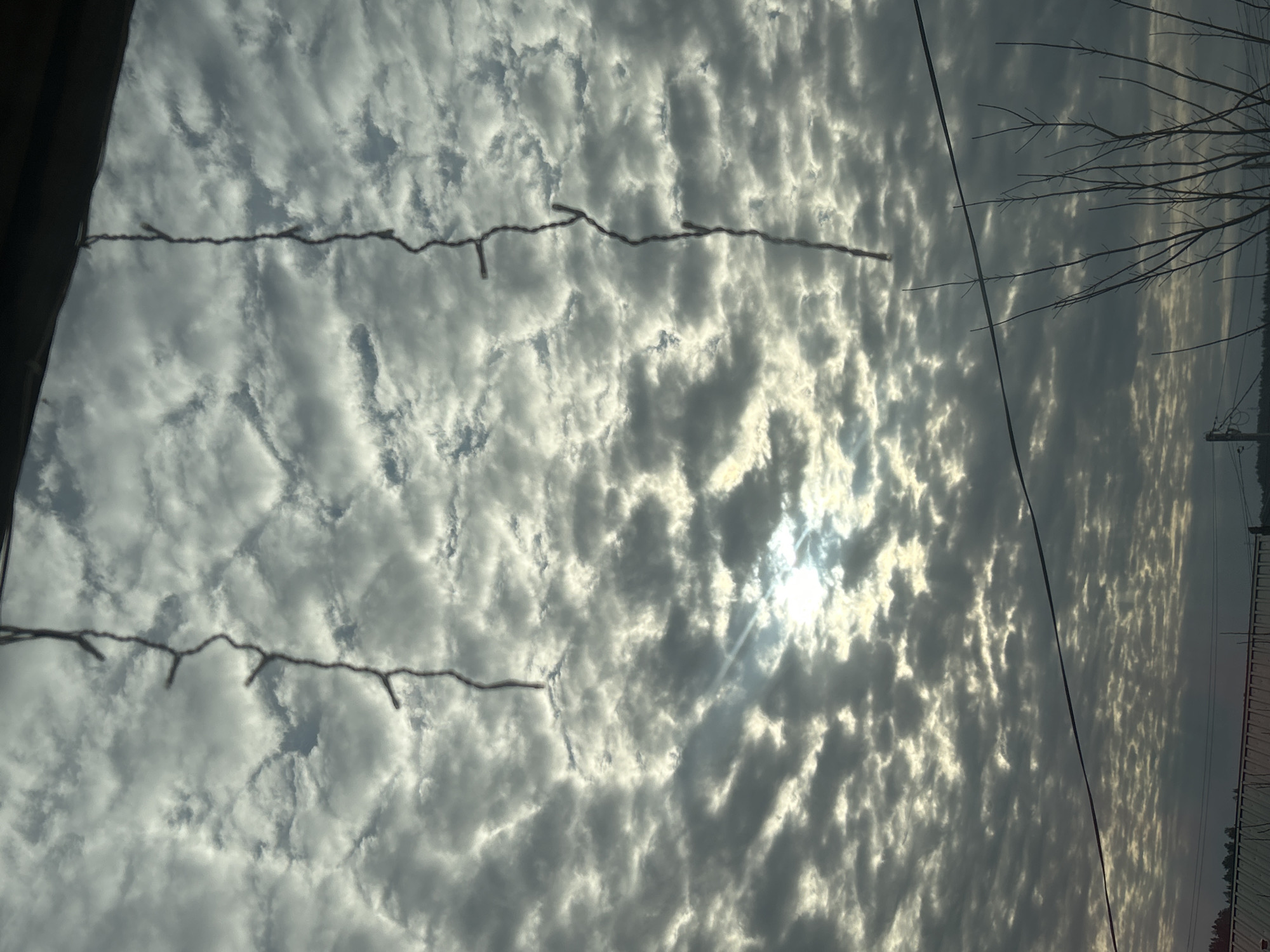 The image depicts a sky filled with altocumulus clouds, partially obscuring the sun. A string of lights hangs in the foreground, appearing to be decorative. Bare tree branches are visible on the right side of the image. In the distance on the right, there's a hint of landscape and possibly a power pole. The location, Ольховка, Russia, cannot be confirmed from the visual information alone. The scene is quiet and atmospheric, lacking signs of immediate human presence or activity.