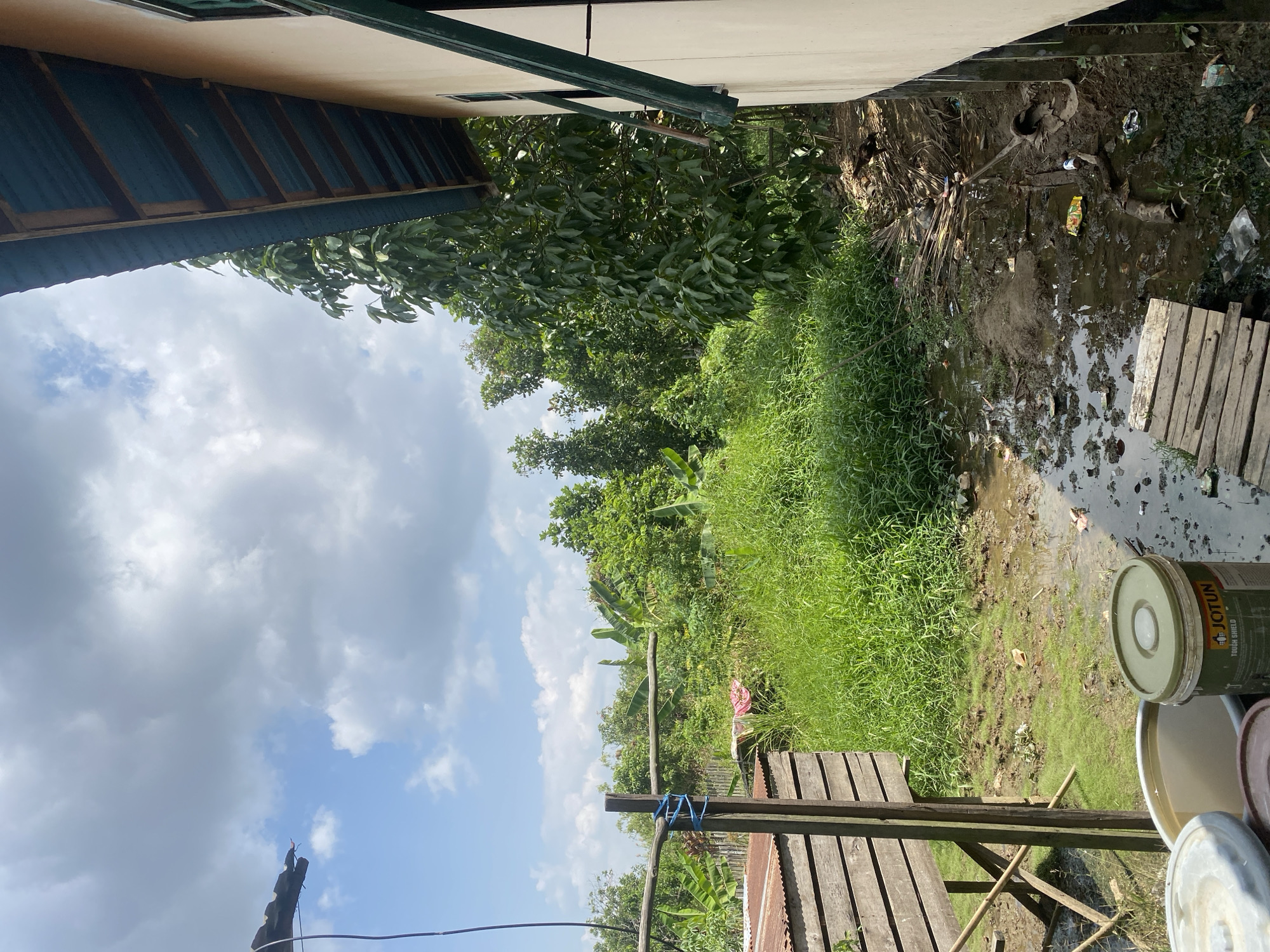 The image depicts an outdoor scene near a building in Berangas Timur, Indonesia. The foreground shows a muddy area with standing water, scattered debris including plastic wrappers and what appears to be a piece of wood. Two large buckets are visible, one of which is a green Jotun paint bucket. A small wooden walkway is partially submerged in the muddy water. To the left, a wooden structure on stilts with a corrugated metal roof is present. Beyond this, dense green vegetation dominates the midground, with tall grass and various trees, including banana trees, filling the space. A wooden post with blue rope tied around it stands near the structure. In the background, more trees and foliage can be seen under a bright blue sky with scattered white clouds. A portion of a building with a beige wall and a green-trimmed roofline is visible on the right side of the frame. The overall impression is one of a humid, tropical environment with evidence of both natural growth and human activity.