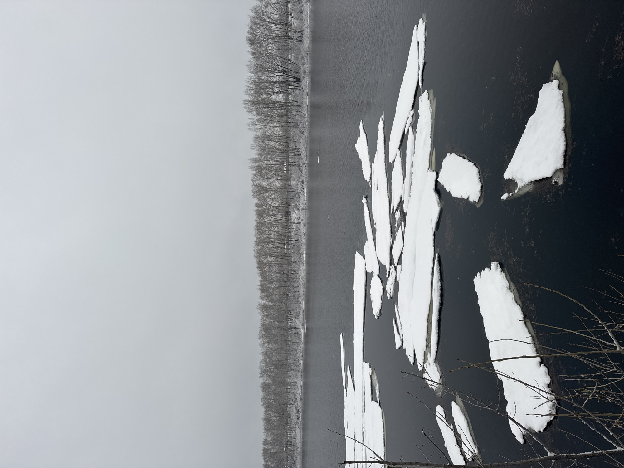 The image shows a winter scene on the Kama River in Chaikovsky, Russia. The sky is overcast. The river is mostly covered in dark water, with large, irregularly shaped ice floes near the right side of the frame. A line of bare trees borders the river on the left side. Bare branches are visible in the lower right corner. The perspective is looking down at an angle on the river.