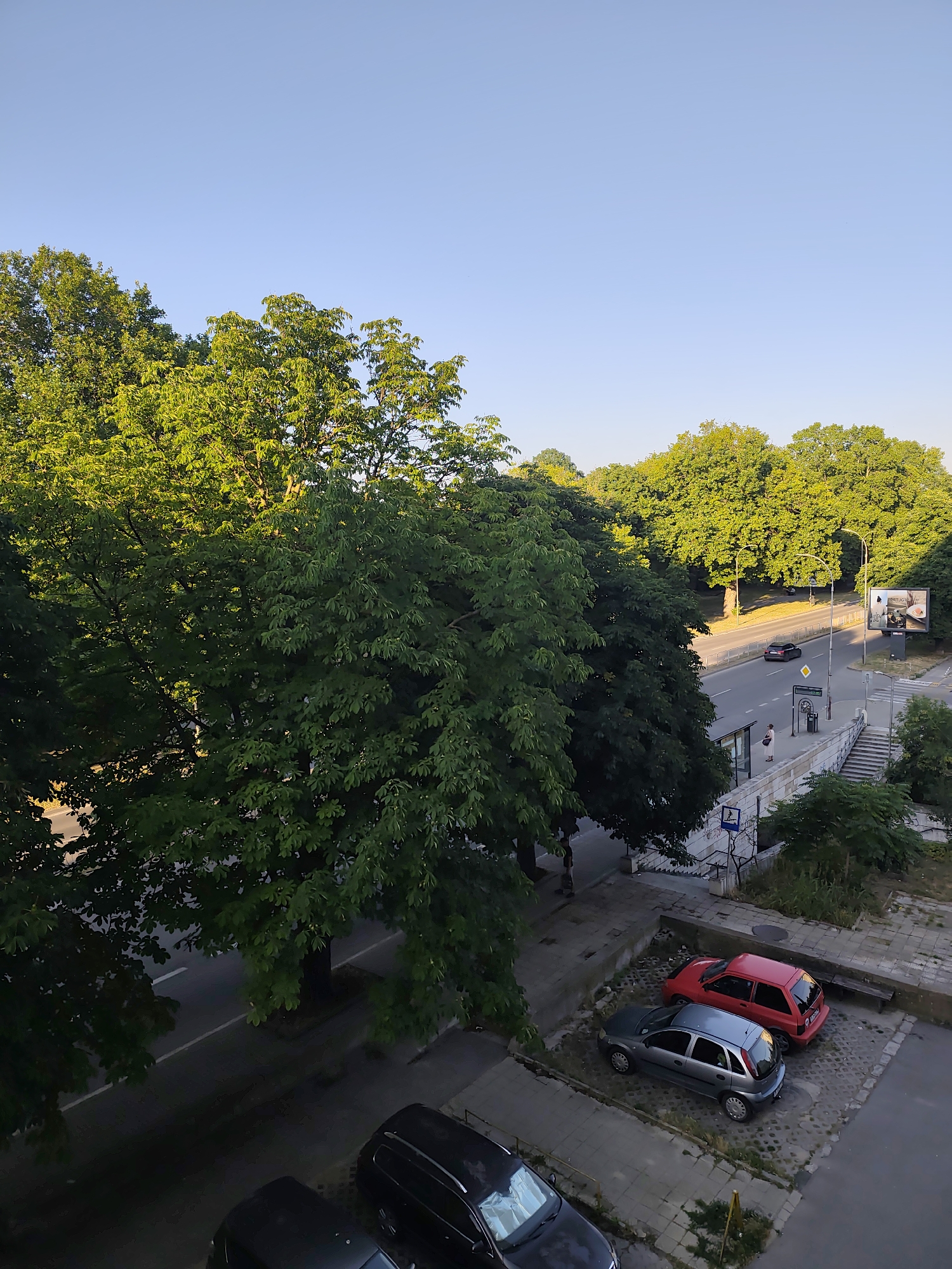 A high-angle view of a city street in Varna, Bulgaria, on a clear, sunny day, likely in the late afternoon given the long shadows. Lush green trees line the street, casting shadows on the asphalt. Cars are visible on the road and parked on the side. A bus stop with a shelter and a person waiting is situated near a set of stairs. A large billboard advertising a coffee product is visible in the distance. In the foreground, several cars are parked in a lot. The scene depicts a peaceful urban environment, with the warm sunlight illuminating the vibrant foliage and the street.