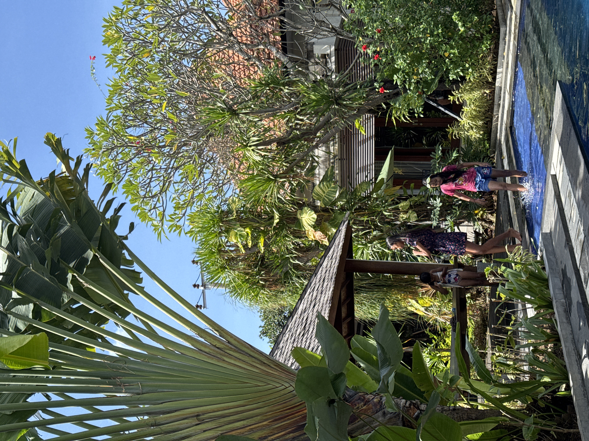 In Denpasar, Indonesia, a tropical resort setting is depicted with lush vegetation surrounding a swimming pool. A large traveler's palm dominates the left foreground, its broad leaves fanning out against a clear blue sky. In the mid-ground, a wooden pavilion with a dark, tiled roof provides shade. Three young girls are present; one in a swimsuit stands by the pavilion, another in a floral dress walks towards the right, and the third, wearing a pink t-shirt and denim shorts, is wading in the shallow end of the blue swimming pool, splashing water. The background reveals a building with a terracotta tiled roof and wooden shutters, nestled amongst dense greenery, including a flowering tree with red blossoms. The overall atmosphere is one of a sunny, relaxed day in a Balinese paradise.