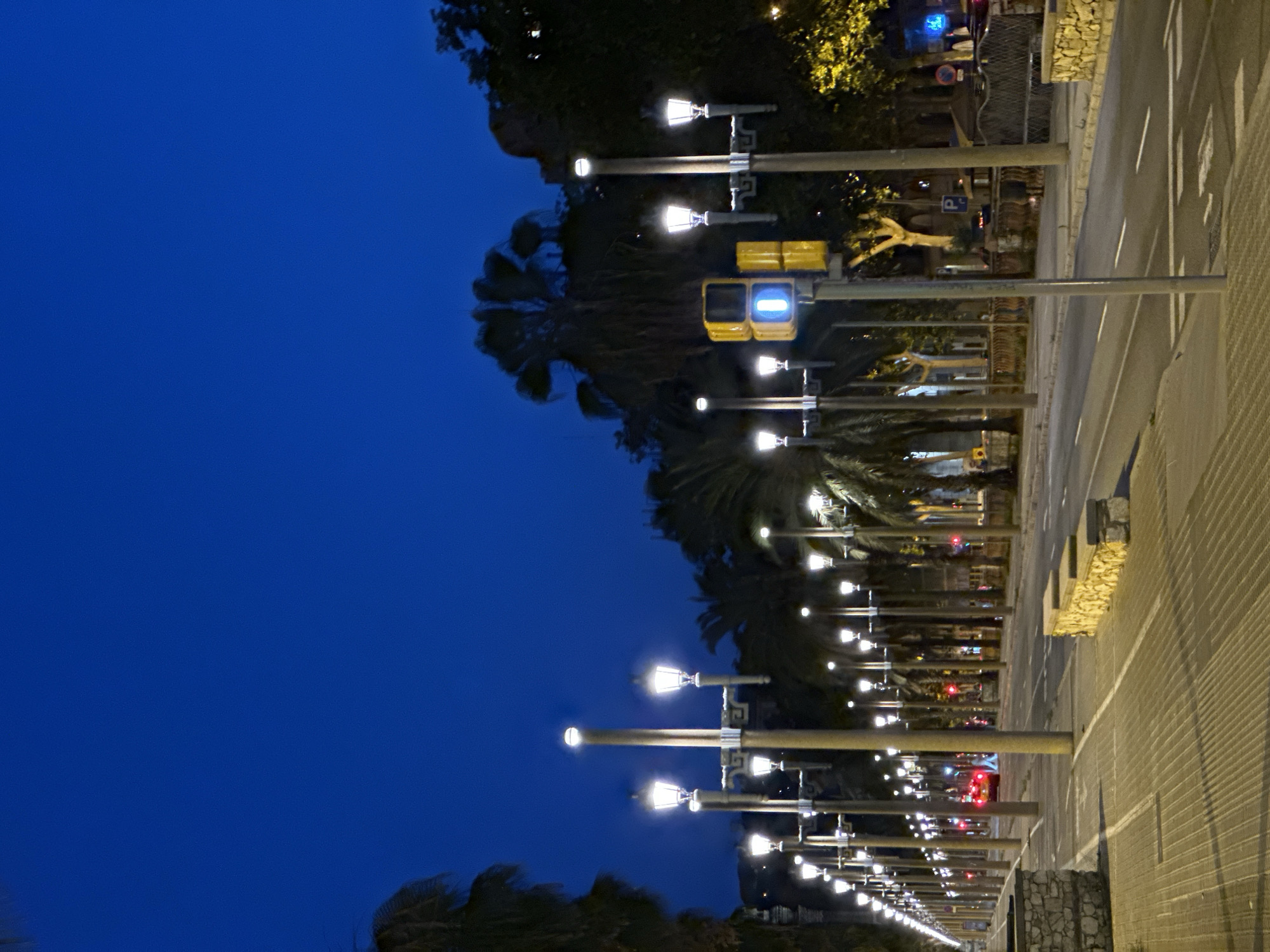 The image depicts a nighttime scene on a wide boulevard lined with palm trees and numerous streetlights. A road with lane markings is visible, with a few cars present. A pedestrian walkway paved with interlocking bricks runs alongside the road, featuring stone benches and decorative planters. A traffic light is illuminated with a blue pedestrian signal, and yellow vehicular signals. The sky is a deep, dark blue, indicating twilight or night. The location is identified as Passeig de Gràcia in Barcelona, Spain, a well-known avenue characterized by its architectural significance and upscale shops.