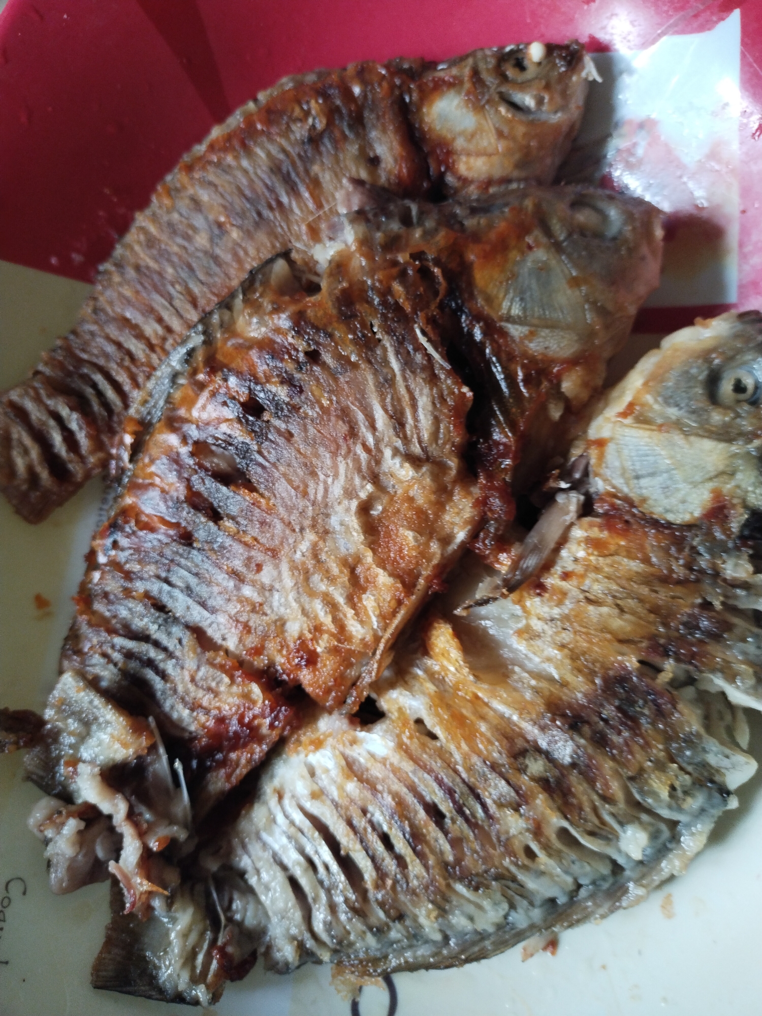 The image presents a close-up view of several pieces of fried whole fish, served on a light-colored plate with a red background, possibly a tray or another serving dish. The fish are golden-brown and appear crispy, with darker, charred areas from frying.
At least two fish heads are clearly visible towards the top right of the frame, showing their eyes and gill covers, indicating that smaller, whole fish were cooked. The skin of the fish is textured, with visible scales and fins. Some parts of the fish reveal the cooked flesh and bone structure, particularly along the scored or split body sections.
The fish are arranged on what appears to be a cream or white plate. On the bottom left edge of this plate, partially visible text can be seen, starting with "Coo" followed by incomplete letters or a design. The red surface behind and underneath the fish provides a stark color contrast. The lighting suggests an indoor setting, likely during mealtime, with the fish prepared and ready for consumption. While the specific species isn't identifiable, the preparation is consistent with common culinary practices, possibly from regions like Horishni Plavni, Ukraine.