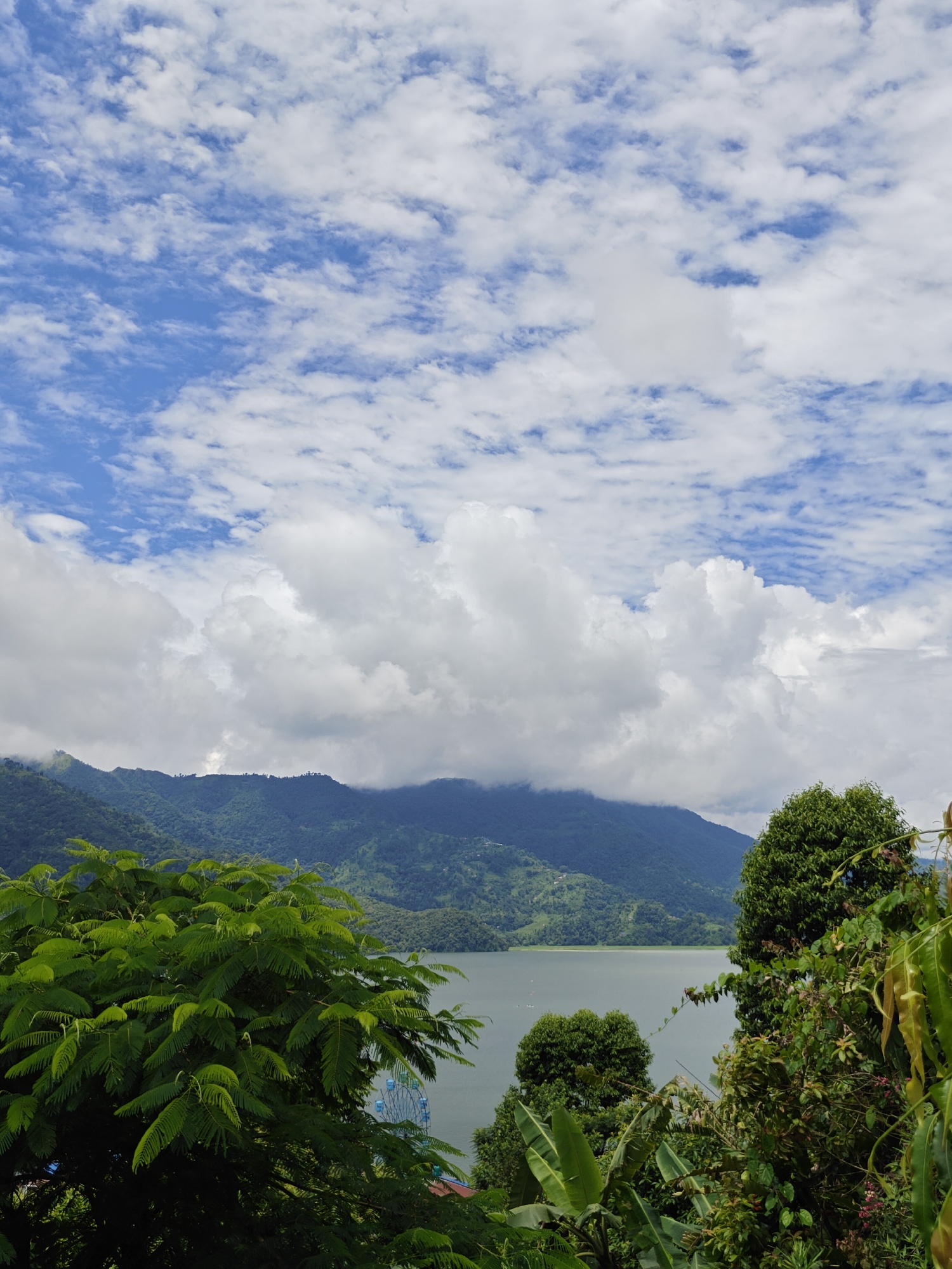 An outdoor, vertically oriented, medium-shot photograph captures a serene landscape in Pokhara, Nepal. The scene is dominated by a vast, serene body of water in the mid-ground, reflecting the bright, cloud-dotted blue sky. Rolling, verdant mountains form the backdrop, their peaks partially obscured by soft, white clouds. In the foreground, lush green foliage, including trees with feathery leaves and broad-leafed plants, frames the view. A Ferris wheel, visible on the far side of the lake, is the only hint of human activity. The overall impression is one of natural beauty and tranquility.