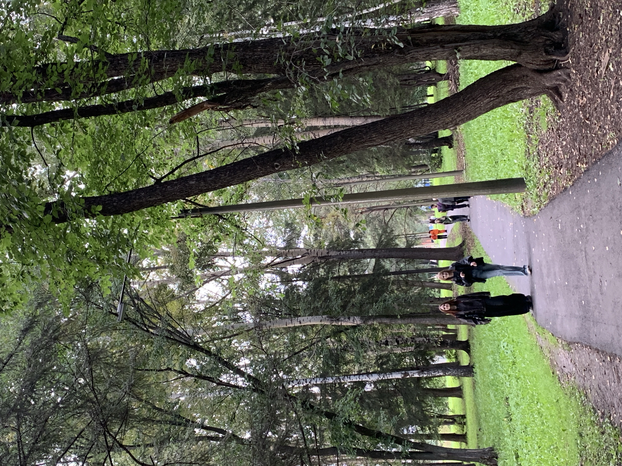 Two individuals, a woman wearing a black jacket and dark pants, and another person in a denim jacket and jeans, walk along a paved path in a park. The path curves to the left and is bordered by green grass and trees. In the background, several other people are visible walking further down the path. The environment is lush with green foliage and tall trees, suggesting a natural setting within an urban area. The lighting indicates it is daytime. The scene appears to be in the city of Prokopyevsk, Russia.