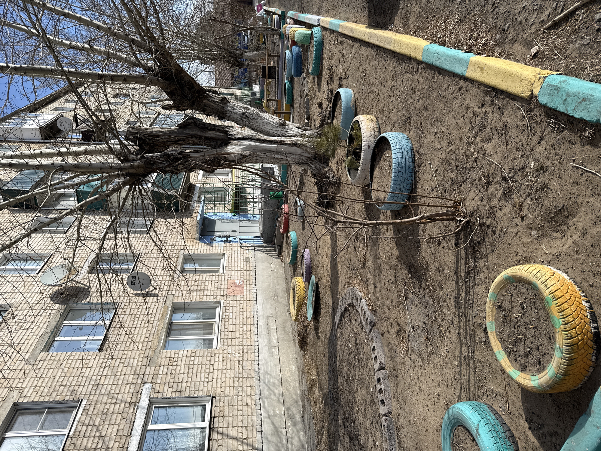 The image depicts a playground next to an apartment building in what is likely Borzya, Russia. A large tree with bare branches dominates the foreground, obscuring part of the building. The building itself appears to be made of light-colored brick and has multiple windows and satellite dishes.
Along the ground, there are several tires painted in various colors, arranged as part of the playground's design. A painted curb runs parallel to the tires. The ground is mostly dirt.