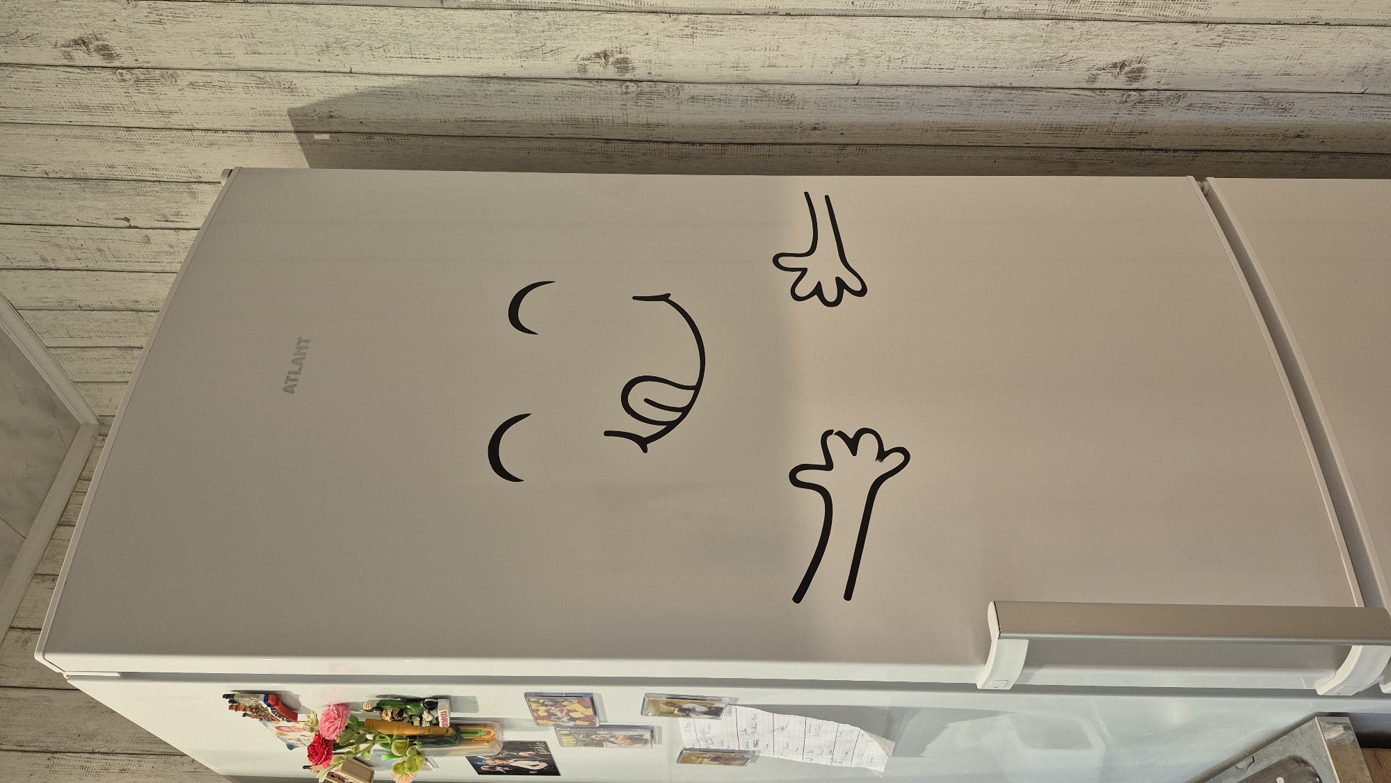 The image shows a close-up of a white refrigerator with a cartoon face and arms decal on its door. The decal features two curved eyebrows, two circular eyes, a wide smile with a tongue sticking out, and two outstretched arms with open hands. The refrigerator is positioned in a kitchen, with a wooden paneled wall visible behind it. There are also a few magnets on the left side of the refrigerator door, including a small bouquet of fake flowers and what appear to be souvenir magnets. The overall scene suggests a domestic setting, likely a kitchen, in the city of Homyel, Belarus, though the exact location within the city cannot be determined from the image alone. The lighting is soft, indicating it is likely daytime.