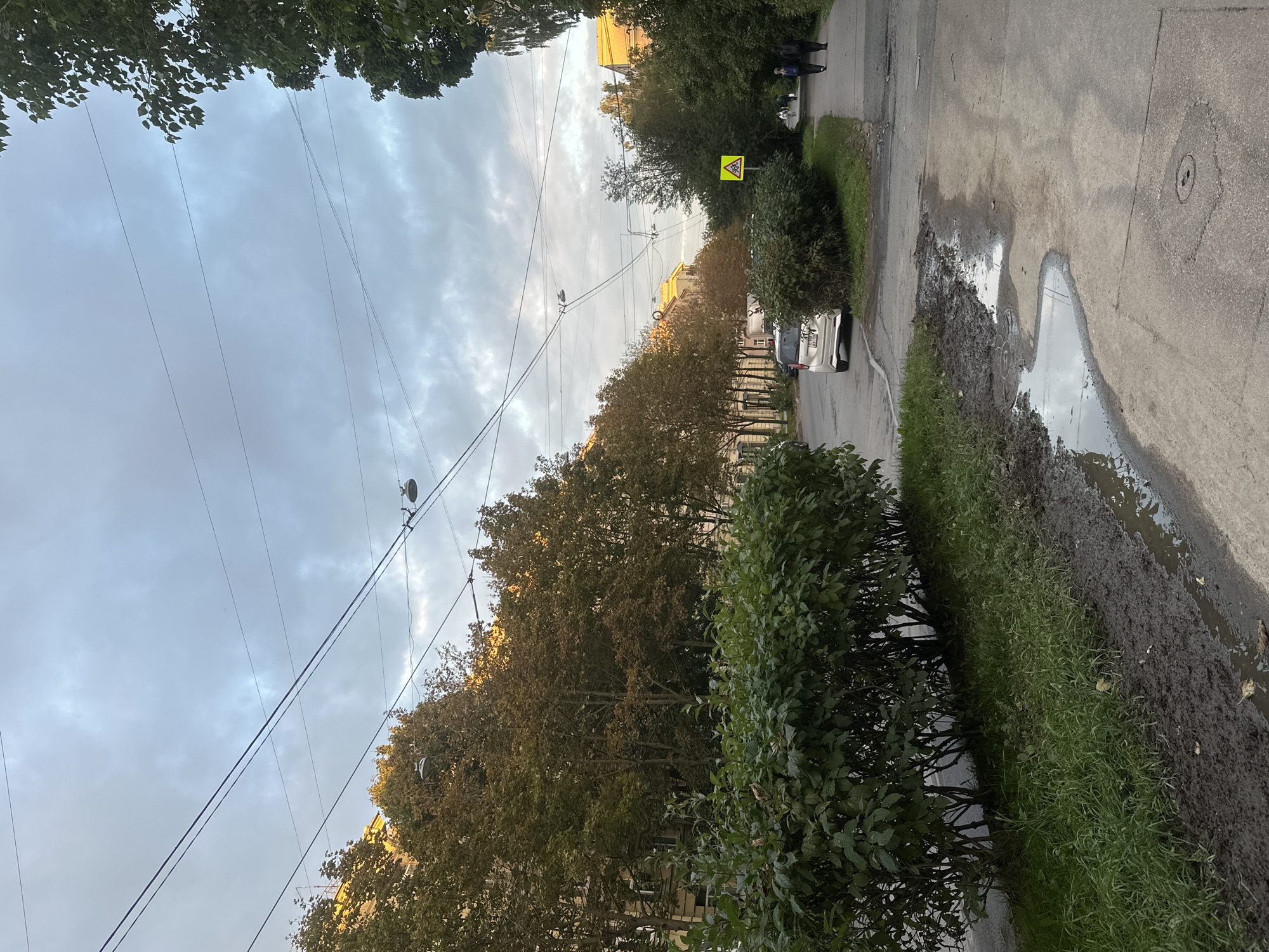 The image depicts a street scene in Saint Petersburg, Russia, likely during autumn given the foliage colors. A paved sidewalk runs along the right side of the image, with a muddy area and a puddle on the left edge of the sidewalk. Adjacent to the muddy area is a well-maintained green bush. Across the street, there is a line of trees with some browning leaves, and behind them, apartment buildings with light-colored facades. Power lines crisscross the sky. A silver minivan is parked on the street. Two people are walking on the sidewalk in the distance, and a yellow pedestrian crossing sign is visible. The sky is overcast with some hints of sunlight breaking through.
