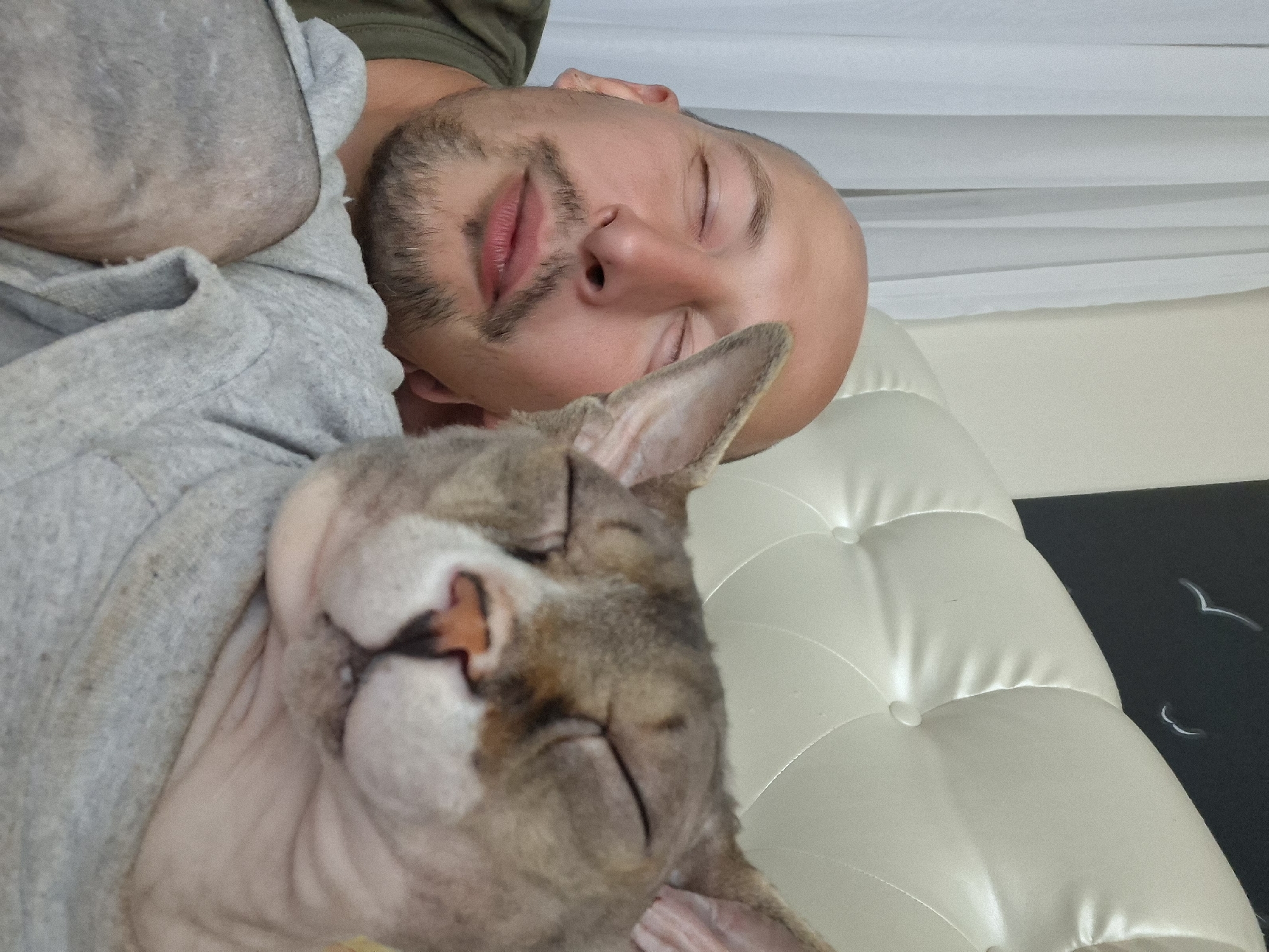 The image shows a close-up, tilted shot of a bald man with a beard and closed eyes lying down, with his head resting on a grey hoodie. Next to him, also with closed eyes, is a hairless cat, possibly a Sphynx, snuggled against the man's chest. The cat has light brown and grey fur. Both the man and the cat appear to be sleeping or resting.
The setting appears to be indoors, possibly a bedroom or living area. The man is wearing a dark green t-shirt. Behind them, a white tufted surface, likely a piece of furniture, is visible, along with a white draped fabric in the background. To the right of the furniture, a dark surface with white stylized drawings resembling birds in flight can be seen. The lighting suggests it could be daytime, possibly late morning or afternoon. The overall mood conveyed is one of peaceful rest and companionship between the man and his cat. No visible text is present in the image. The location context provided is Myadzyel, Belarus.