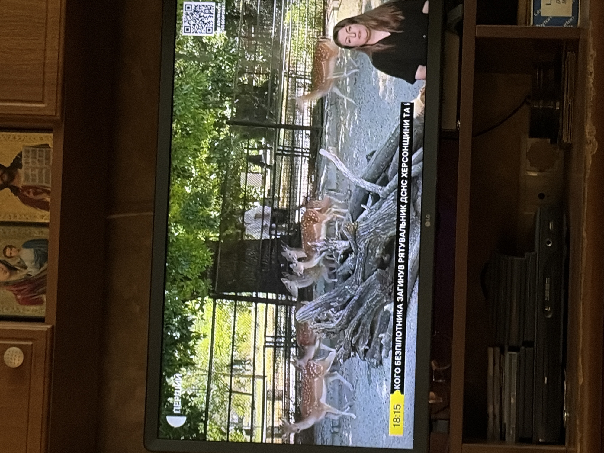 The image shows a television screen displaying a news report. The screen shows a fenced enclosure with several deer. In the bottom right corner of the screen, a woman is visible, presumably a news anchor or reporter. A ticker at the bottom of the screen displays the time "18:15" and a news headline in Ukrainian which translates to "Whose pilot died, rescuers of Kherson region and T I". The television is placed on a wooden shelf below a wooden cabinet. The cabinet has religious icons on it. Below the television, there are stacks of DVDs and a black electronic device. The overall scene suggests an indoor setting, possibly a living room or study.