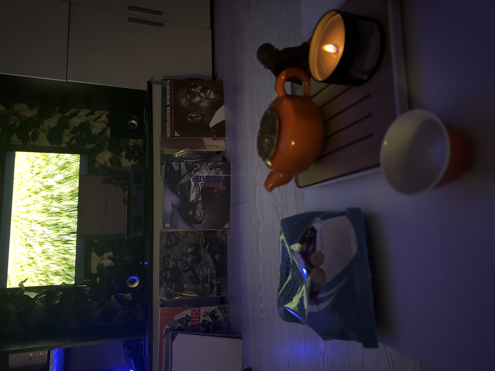 The image shows a dimly lit indoor scene. On the left side, there's a TV screen displaying a vibrant, natural landscape, possibly a field. The TV is surrounded by artificial plants. Adjacent to the TV, a stack of vinyl records leans against a wall, displaying album covers with various monochrome images of people and designs.
On the right side of the frame, positioned on a white surface, is a small wooden tray. Upon the tray are several items: a lit candle in a dark container, an orange teapot-shaped object, and a two-toned cup (white inside and orange outside). Below the tray, there is a bag of snacks.
The overall impression is one of a relaxing, domestic setting, with a focus on visual and auditory stimulation through the TV and the vinyl records. There is no evidence to confirm a specific location such as Ново-Никольское, Russia.