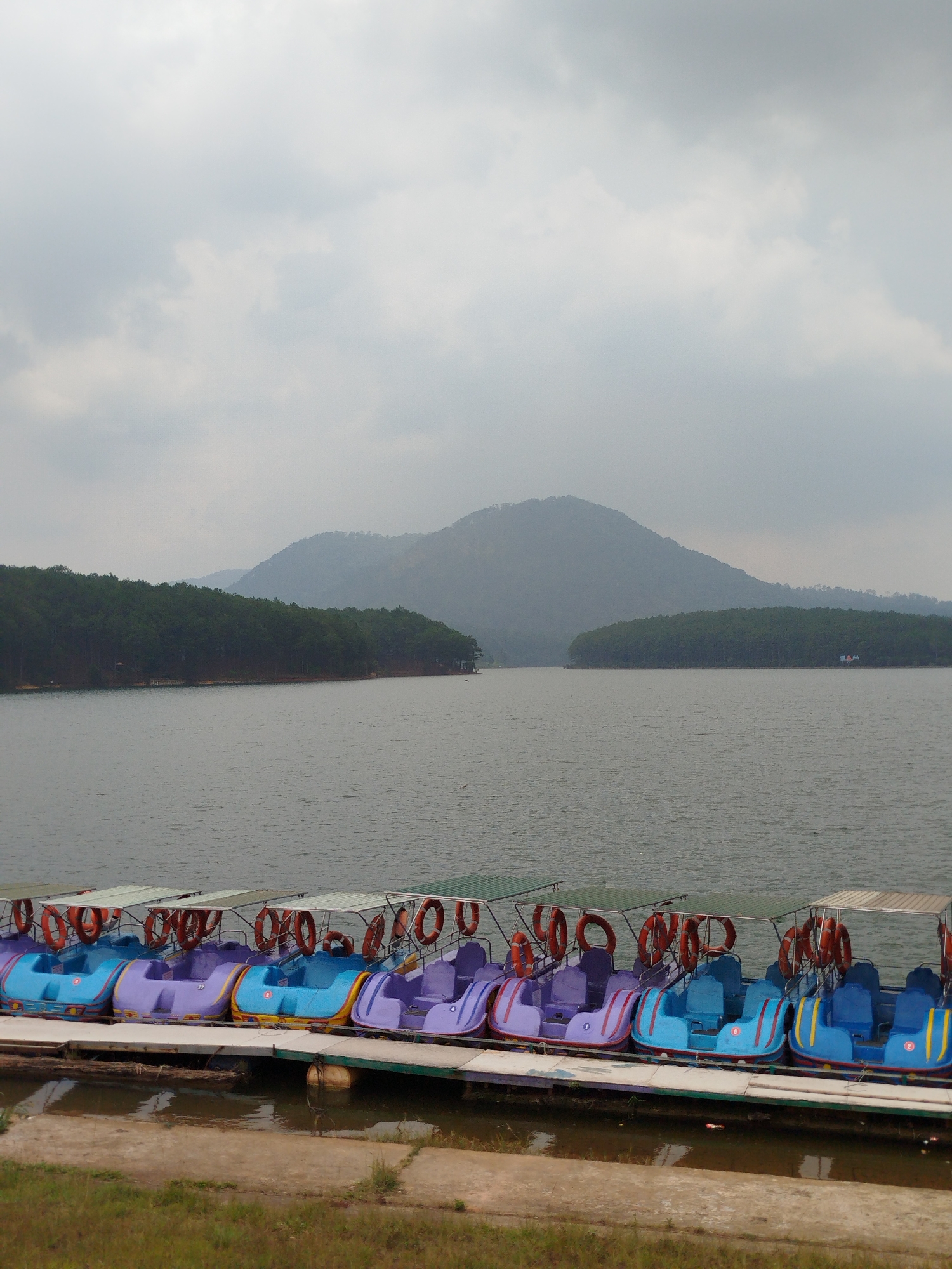 The image depicts a row of parked paddle boats at Tuyen Lam Lake in Da Lat, Vietnam. The boats are mostly blue and purple, and they line a dock. Each boat has a life preserver attached. The lake is calm, and a mountainous landscape is visible in the background under a cloudy sky. Vegetation lines the edge of the lake. The foreground shows the grassy shoreline adjacent to the dock.
