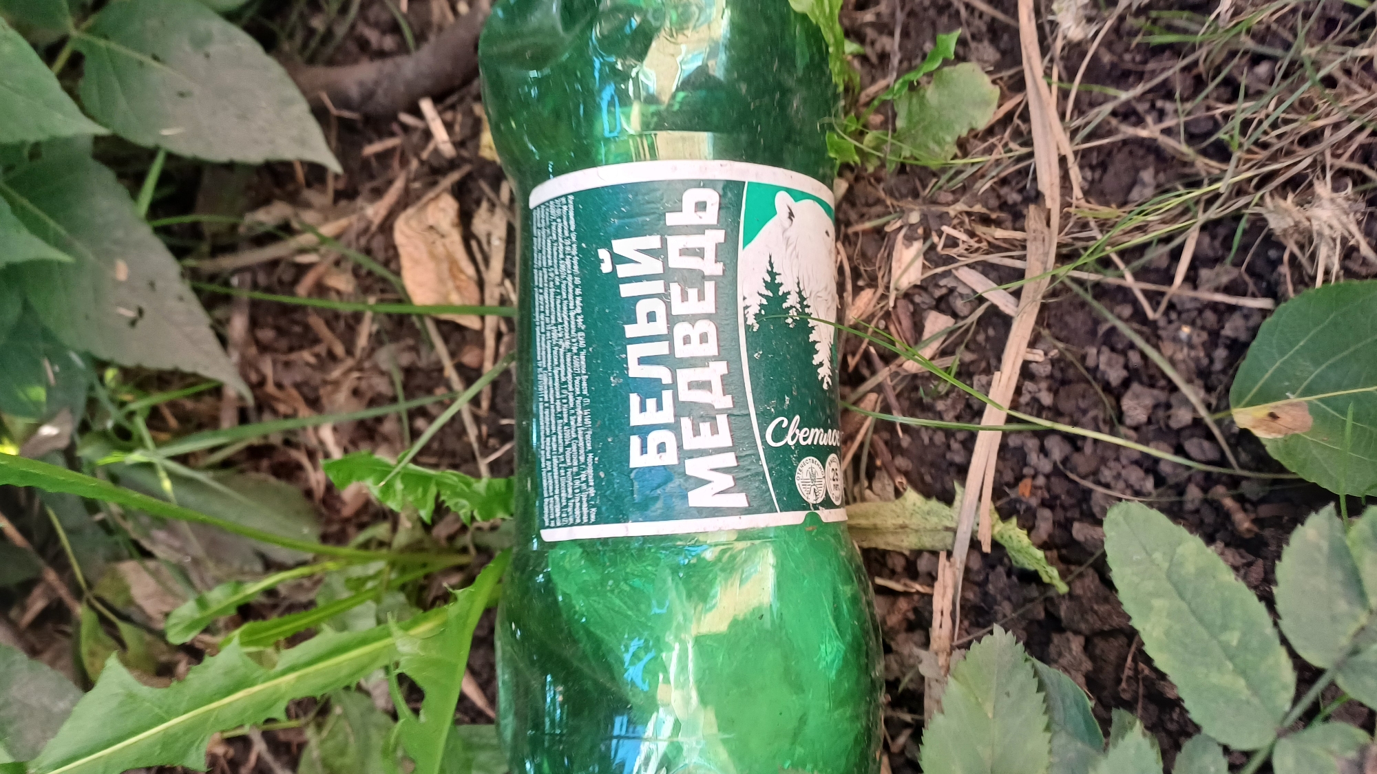 A green plastic bottle of "Beliy Medved" (White Bear) drink lies on the ground amidst grass and dirt. The label features a white bear silhouette against a backdrop of pine trees, with the brand name prominently displayed in large white Cyrillic letters. Below the bear, the word "Светлое" (Light) is visible in smaller text. On the left side of the label, there is a block of smaller text in Russian, likely containing ingredient and manufacturer information. The bottle appears to be outdoors, in a natural setting with green foliage and dry leaves or twigs scattered on the ground. The lighting suggests it could be daytime, possibly under cloudy or filtered sunlight, as there are no strong shadows. The overall scene depicts a discarded beverage container in an outdoor environment.