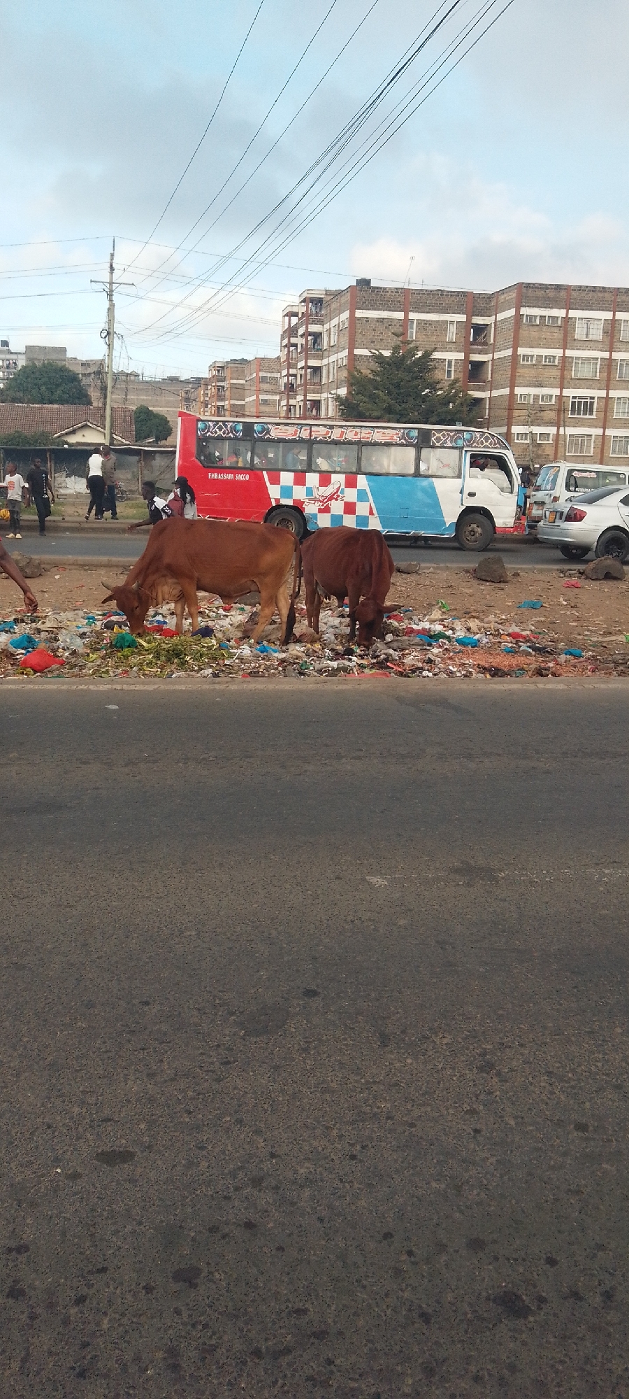 The image shows two brown cows eating from a pile of garbage on the side of a road in Nairobi, Kenya. A red and blue bus is parked in the background. People are standing and walking near the bus. A silver sedan car is parked behind the bus. Multi-story buildings are visible in the background. Overhead wires are strung across the sky. The road in the foreground is dark and cracked. The sky is partly cloudy.