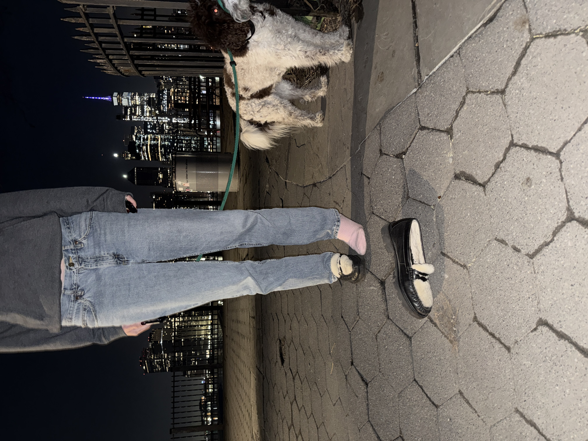 A person in jeans and a grey sweater walks a brown and white dog on a leash along a paved walkway. The person wears a pink sock on one foot and a black shoe with white lining on the other. Next to them, on the walkway, sits a single black loafer with white lining. A black metal fence runs along the edge of the walkway, behind which is the New York City skyline at night. A sliver of moon is visible in the dark sky above the city. A trash can stands near the fence. The walkway is made of grey, irregularly shaped paving stones.