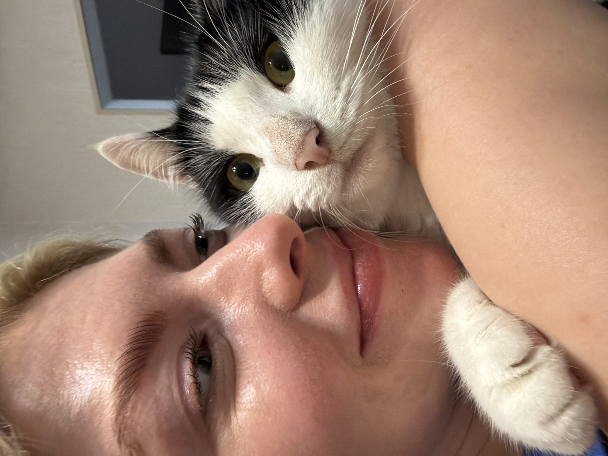 A close-up shot captures a young person holding a black and white cat. The person's face, partially visible on the left, is turned to the side, showcasing their features including their eyebrows, eye, and nose. The cat is held close to the person, its head resting on their arm, and its eyes are looking directly at the camera. The cat's fur is predominantly white with black patches, and its whiskers are clearly visible. The person's arm, supporting the cat, is also in focus. The background appears to be an indoor setting, with a blurred door frame and a wall visible. The image is brightly lit, highlighting the subjects. The scene is devoid of any specific landmarks indicating a location in Khimki, Russia, or any other city.