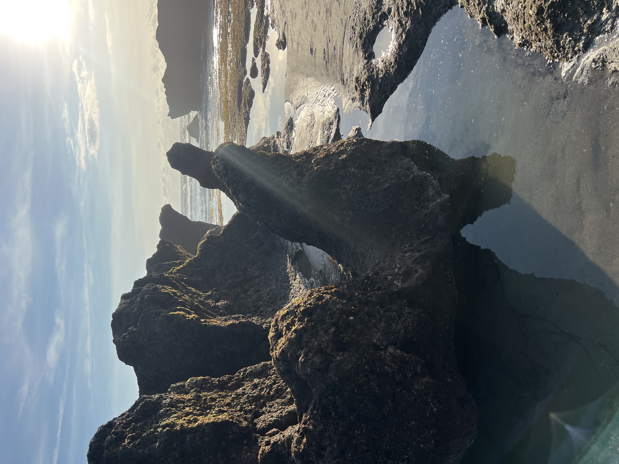 The image shows a rocky beach landscape under a bright sun, potentially near North Kuta, Indonesia, given the indication of the location. Large dark rocks covered with some moss and vegetation are in the foreground, some partially submerged in shallow water. The water reflects the sky. The sun is shining brightly through the sky on the left side of the image. In the background, there appear to be more rock formations and the edge of the sea. The overall scene evokes a natural coastal environment.
