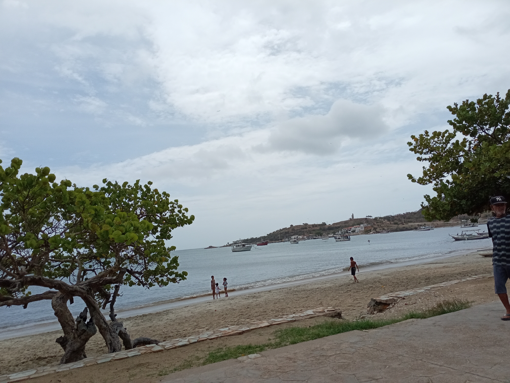 This image depicts a serene beach scene in Juan Griego, Venezuela, under an overcast sky. The foreground features a sandy beach with a distinctive, gnarled tree on the left, its branches laden with green leaves. A stone path runs along the lower right of the image, bordering a patch of grass.
In the mid-ground, several people are visible on the sand and at the edge of the water. Three children, two in white, are standing near the gentle waves. Further down the beach, a young boy runs along the shoreline, and on the far right, an older man stands, his back partially to the camera, wearing a striped shirt and shorts.
The calm sea is dotted with numerous boats of varying sizes, anchored or sailing in the bay. In the background, the coastline is lined with buildings and hills, suggesting a populated coastal town. The overall impression is one of a peaceful, ordinary day at the beach. The cloudy sky suggests it might be morning or late afternoon, with the weather being mild. No visible text is present in the image.